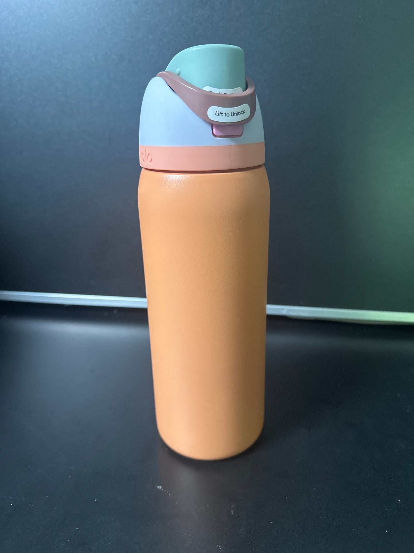 Owala 32oz FreeSip Stainless Steel Water Bottle 6-00010