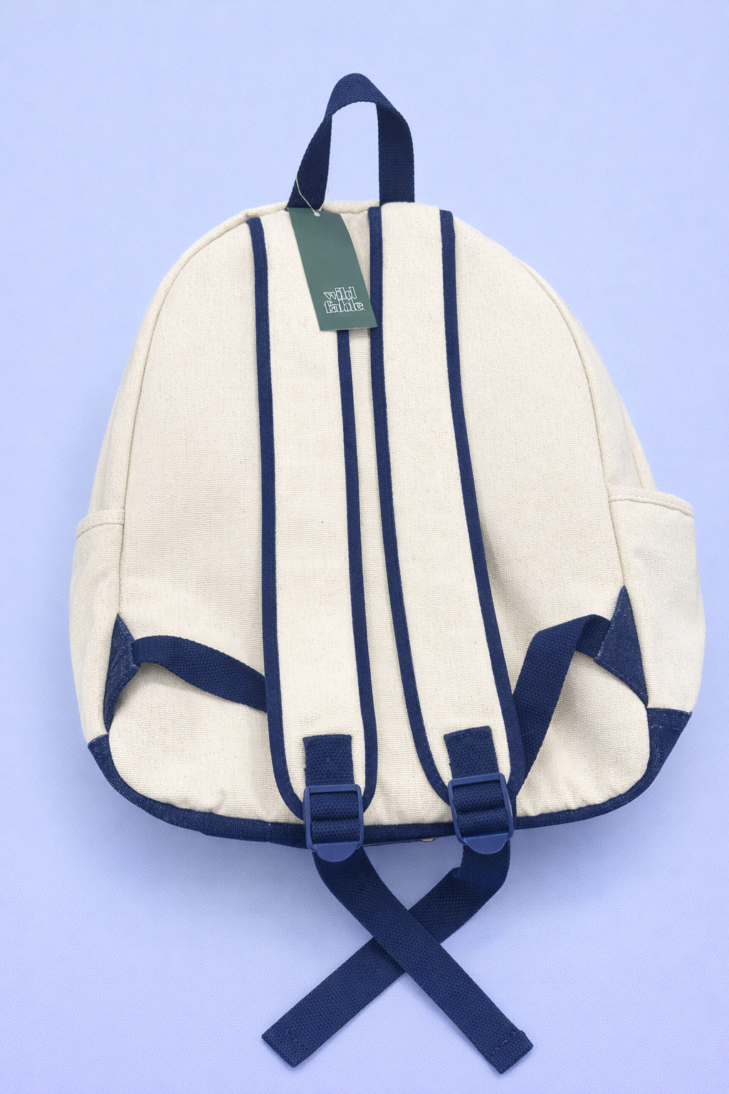 Wild Fable™ Canvas Backpack – Cream with Blue Accents