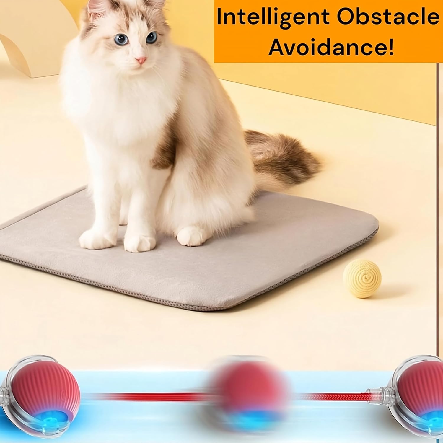 Interactive Cat Toys for Indoor Cats (Random Color)