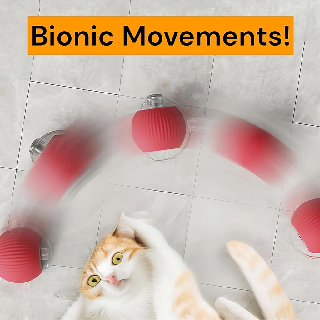 Interactive Cat Toys for Indoor Cats (Random Color)