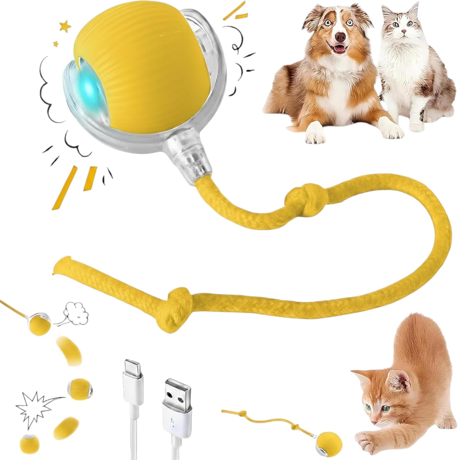 Interactive Cat Toys for Indoor Cats (Random Color)