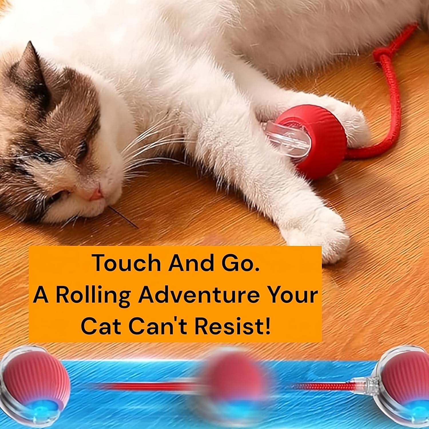 Interactive Cat Toys for Indoor Cats (Random Color)