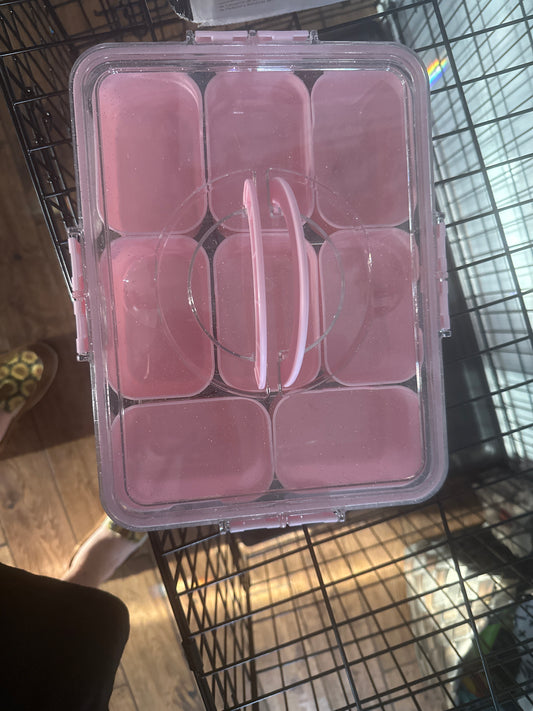Snack container