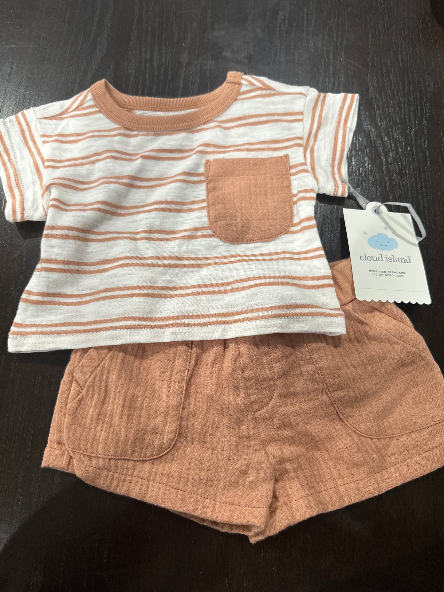 Cloud Island™ Baby 2-Piece Outfit Set – Shirt & Shorts