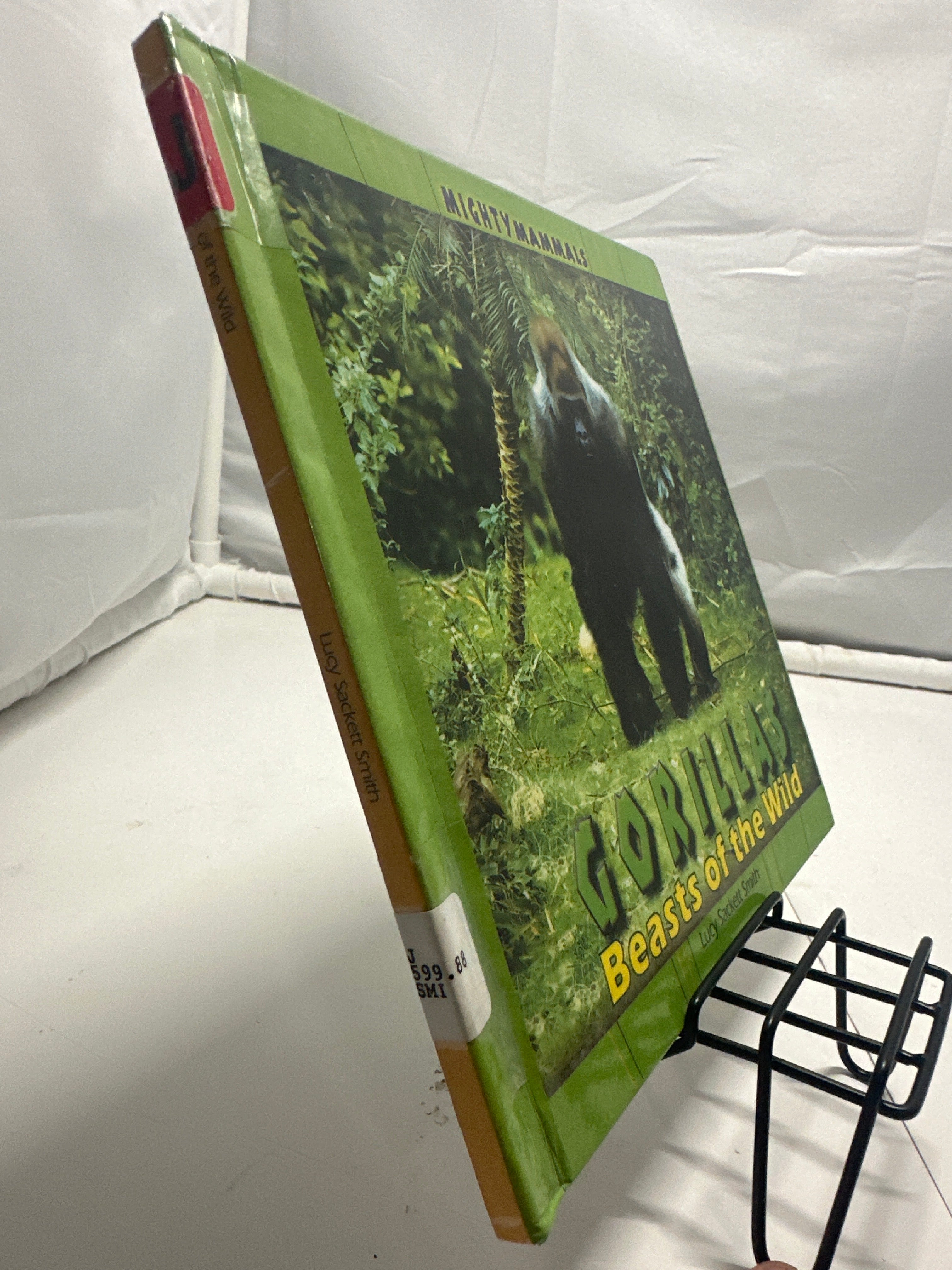 Gorillas: Beasts of the Wild by Lucy Sackett Smith Hardcover Children