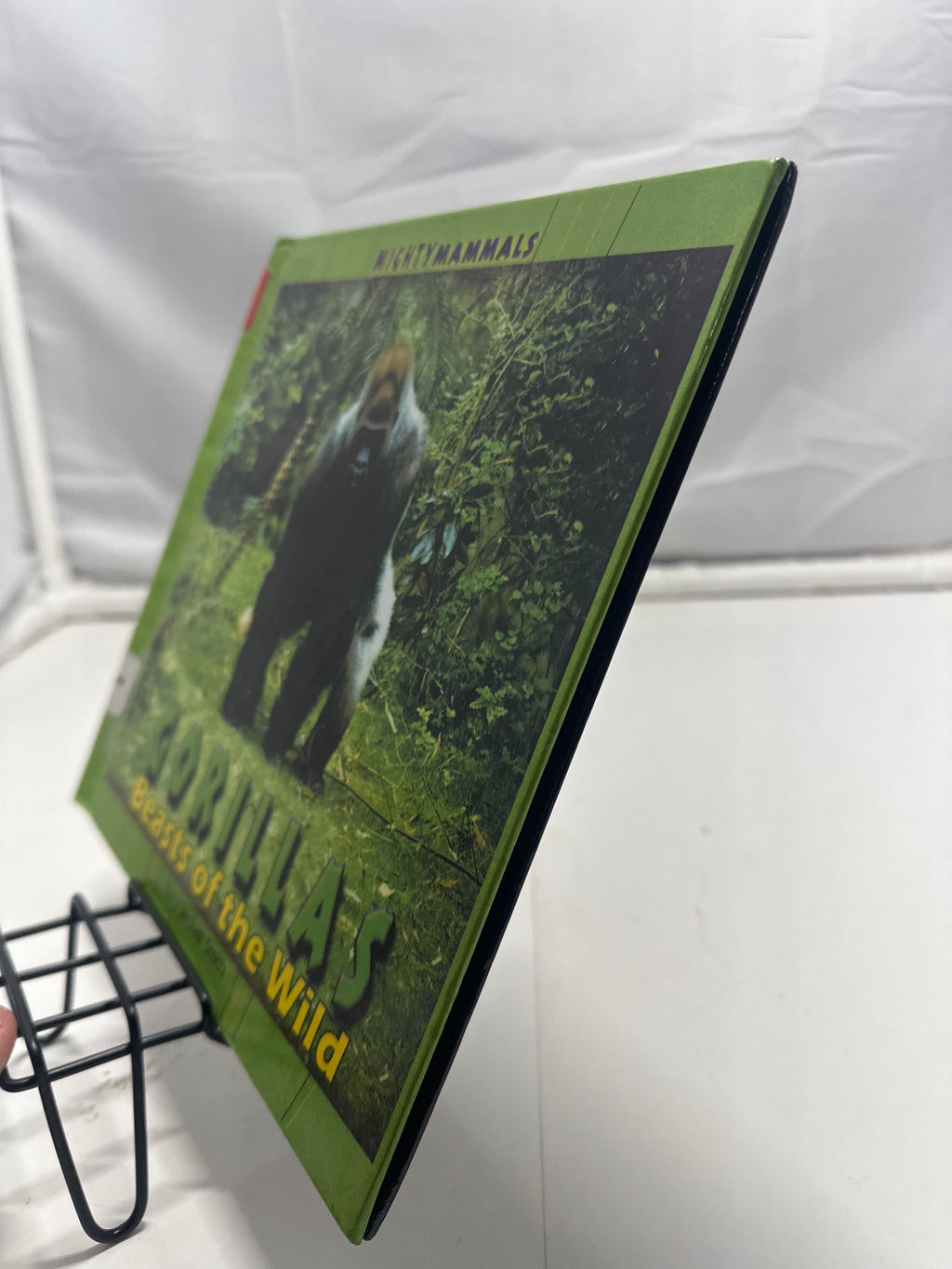 Gorillas: Beasts of the Wild by Lucy Sackett Smith Hardcover Children