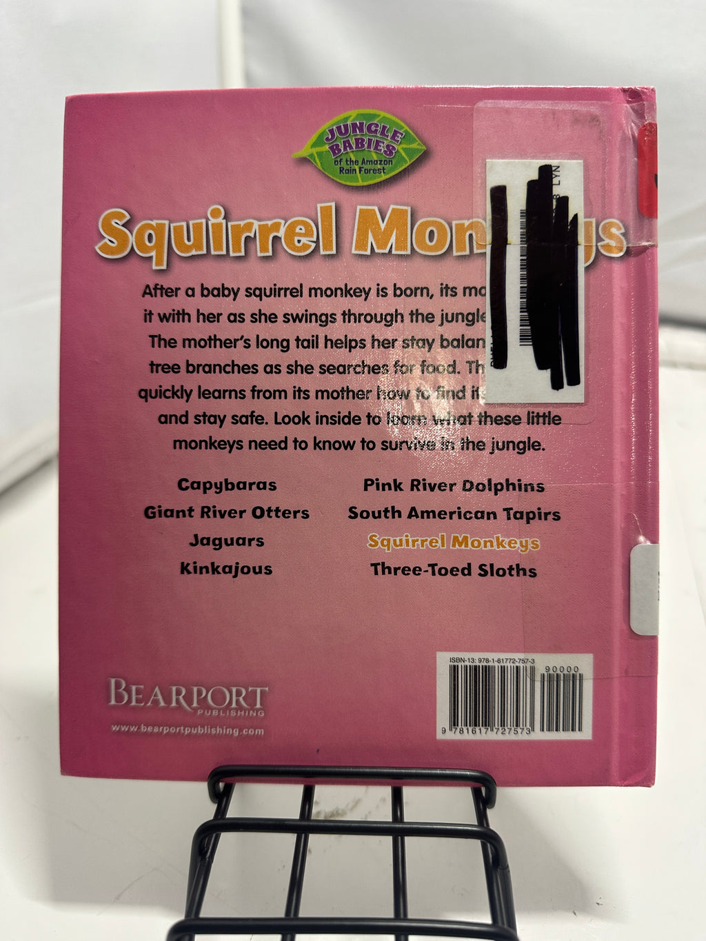 Squirrel Monkeys by Rachel Lynette Hardcover