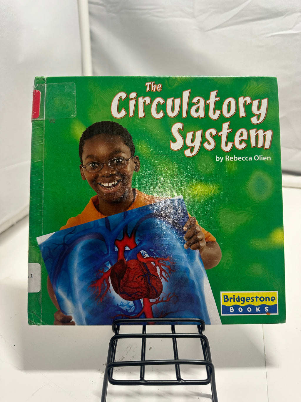 The Circulatory System by Rebecca Olien Hardcover Children