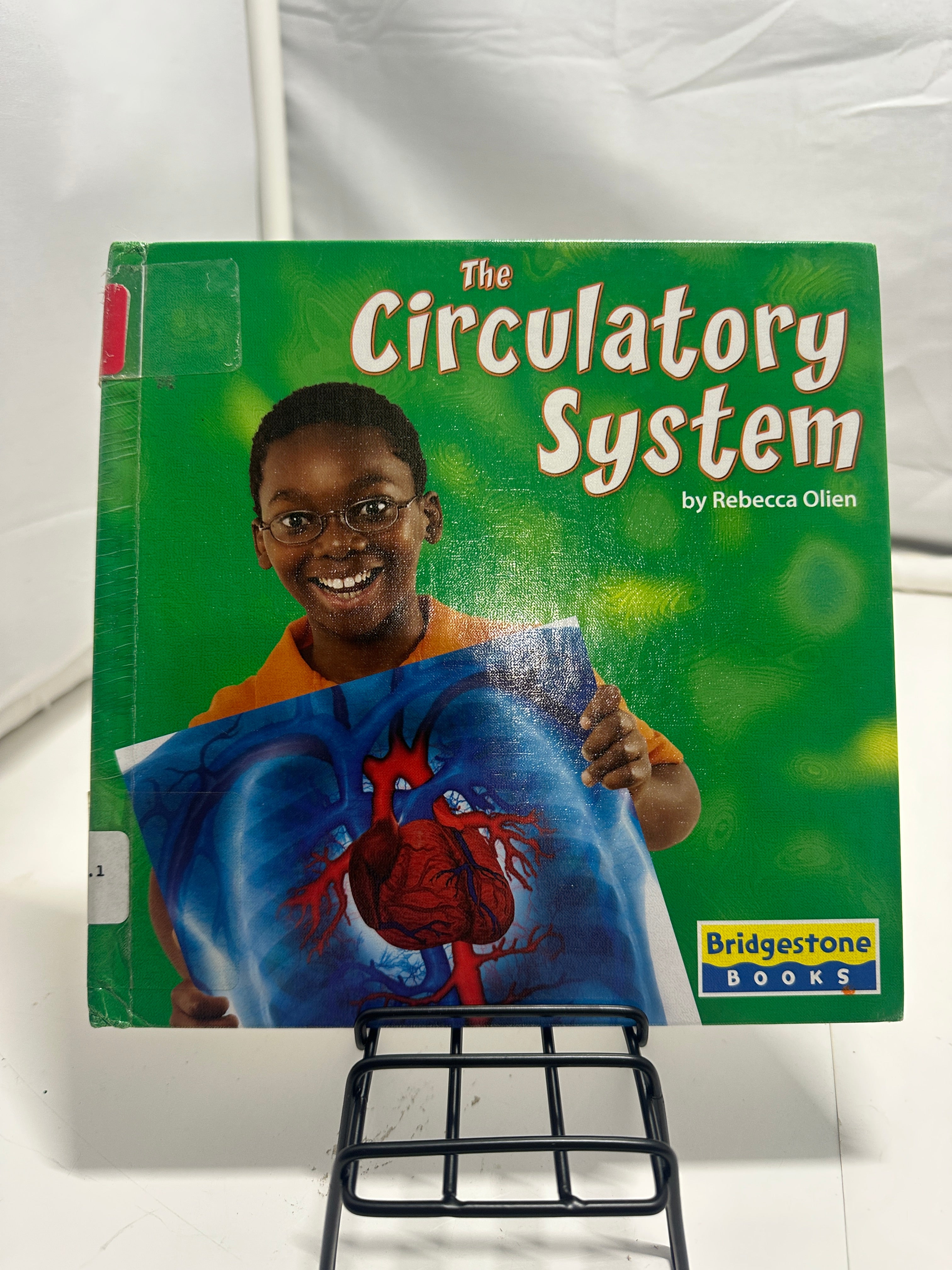 The Circulatory System by Rebecca Olien Hardcover Children