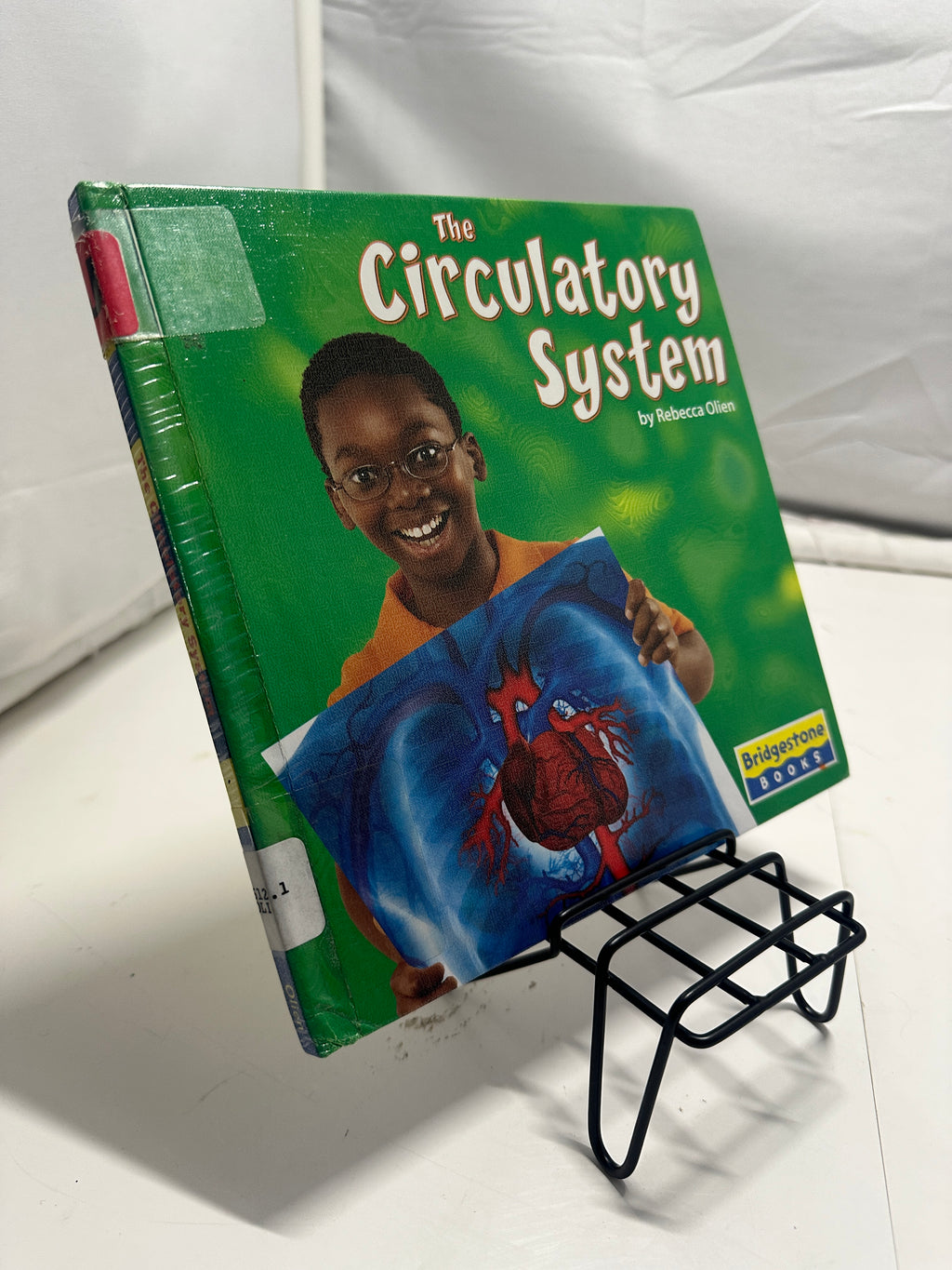 The Circulatory System by Rebecca Olien Hardcover Children