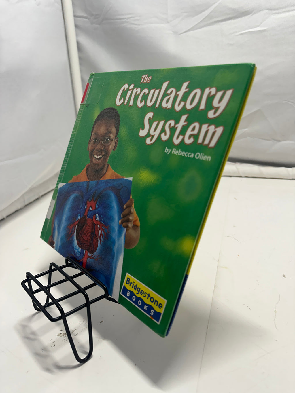 The Circulatory System by Rebecca Olien Hardcover Children