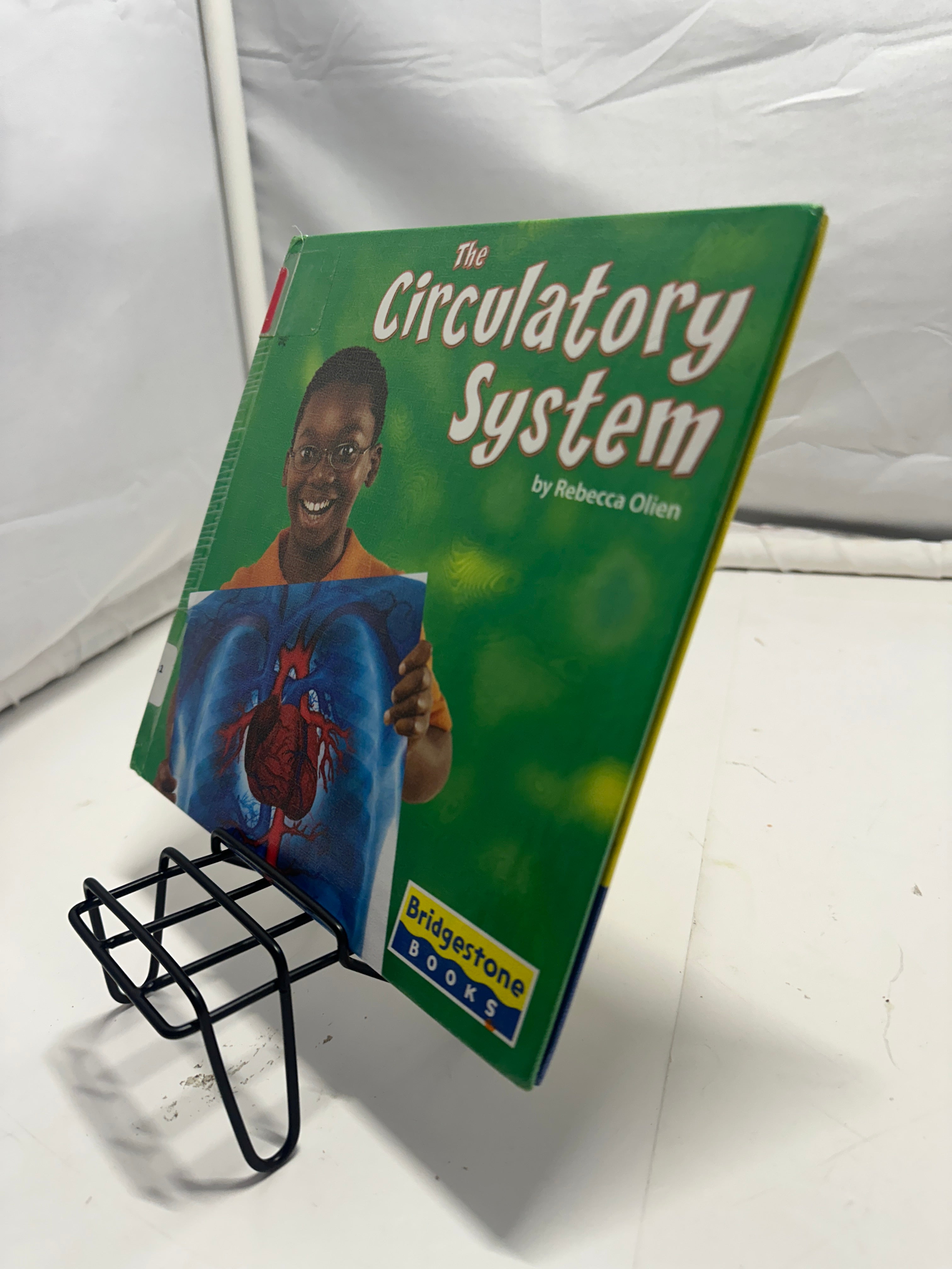 The Circulatory System by Rebecca Olien Hardcover Children