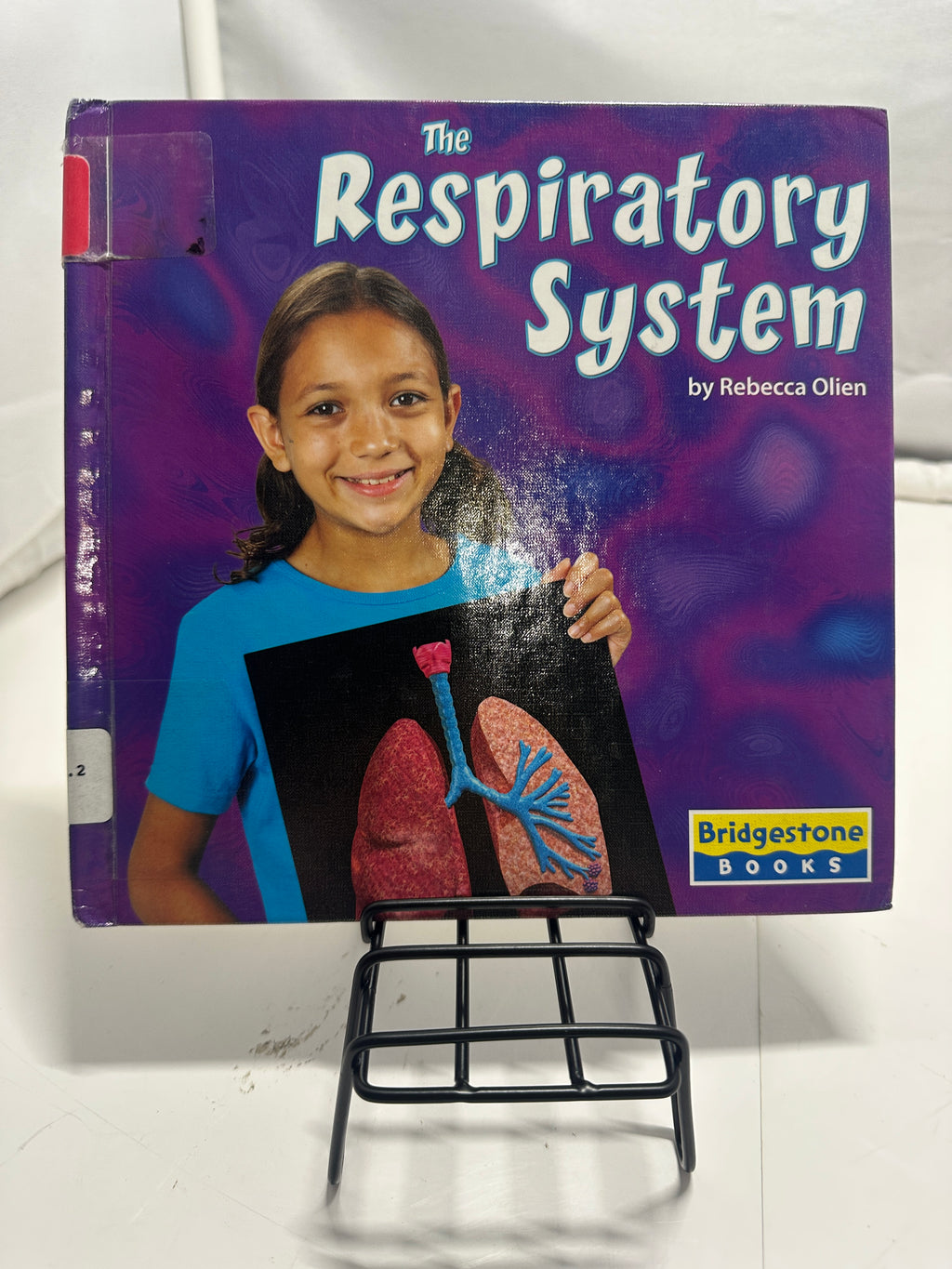 The Respiratory System by Rebecca Olien Hardcover Children
