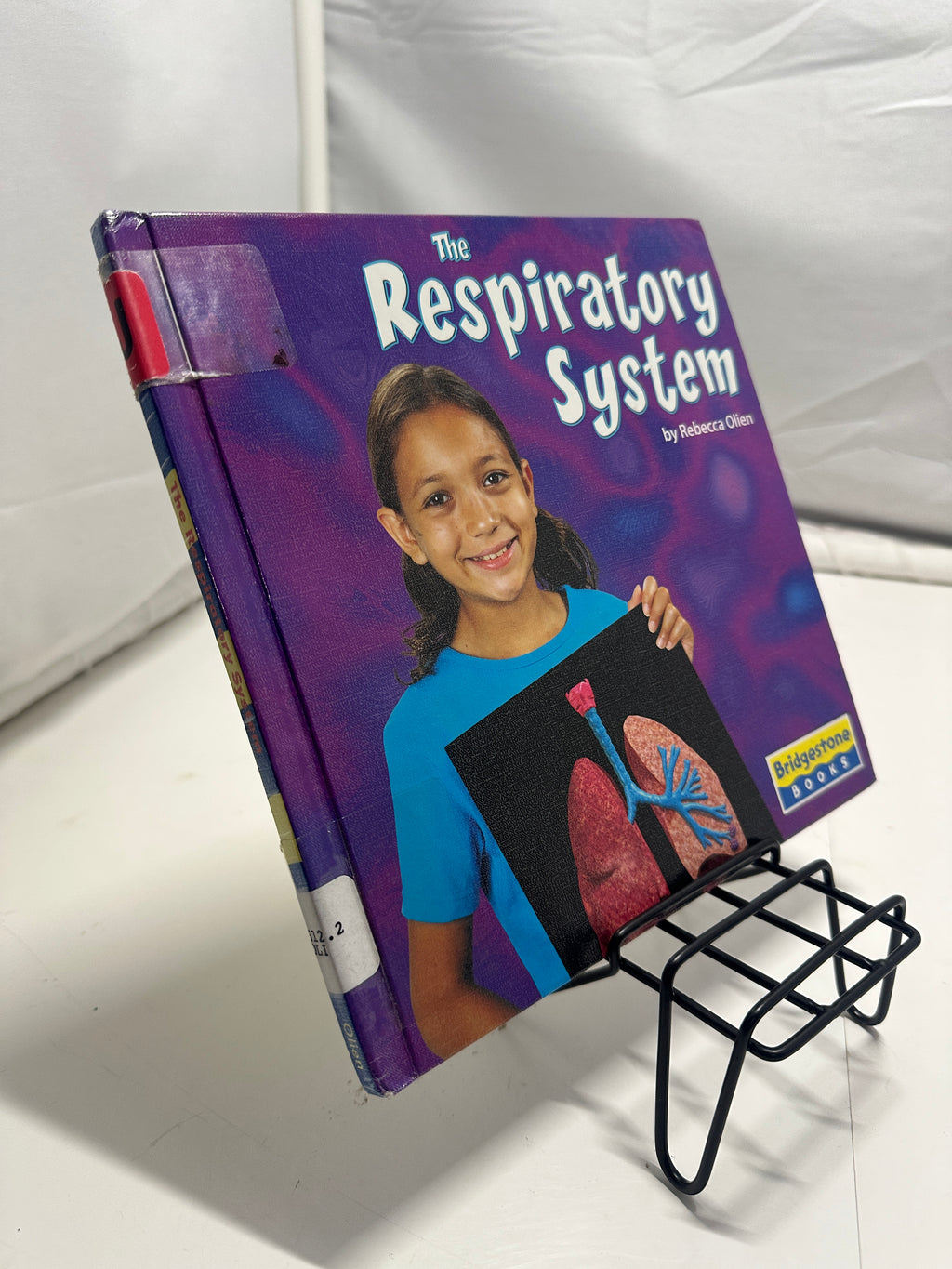 The Respiratory System by Rebecca Olien Hardcover Children