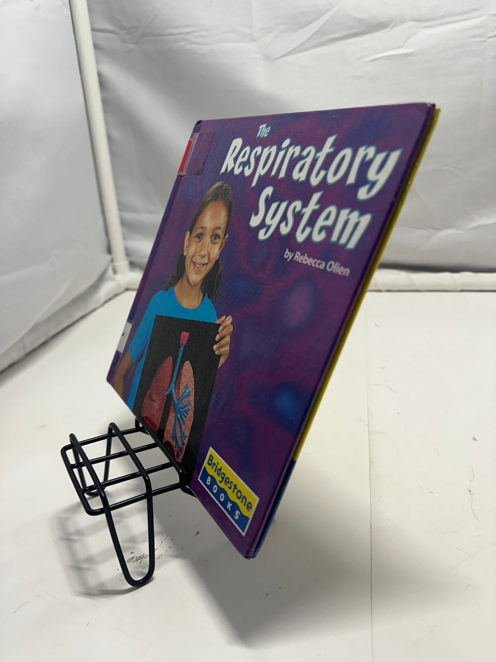 The Respiratory System by Rebecca Olien Hardcover Children
