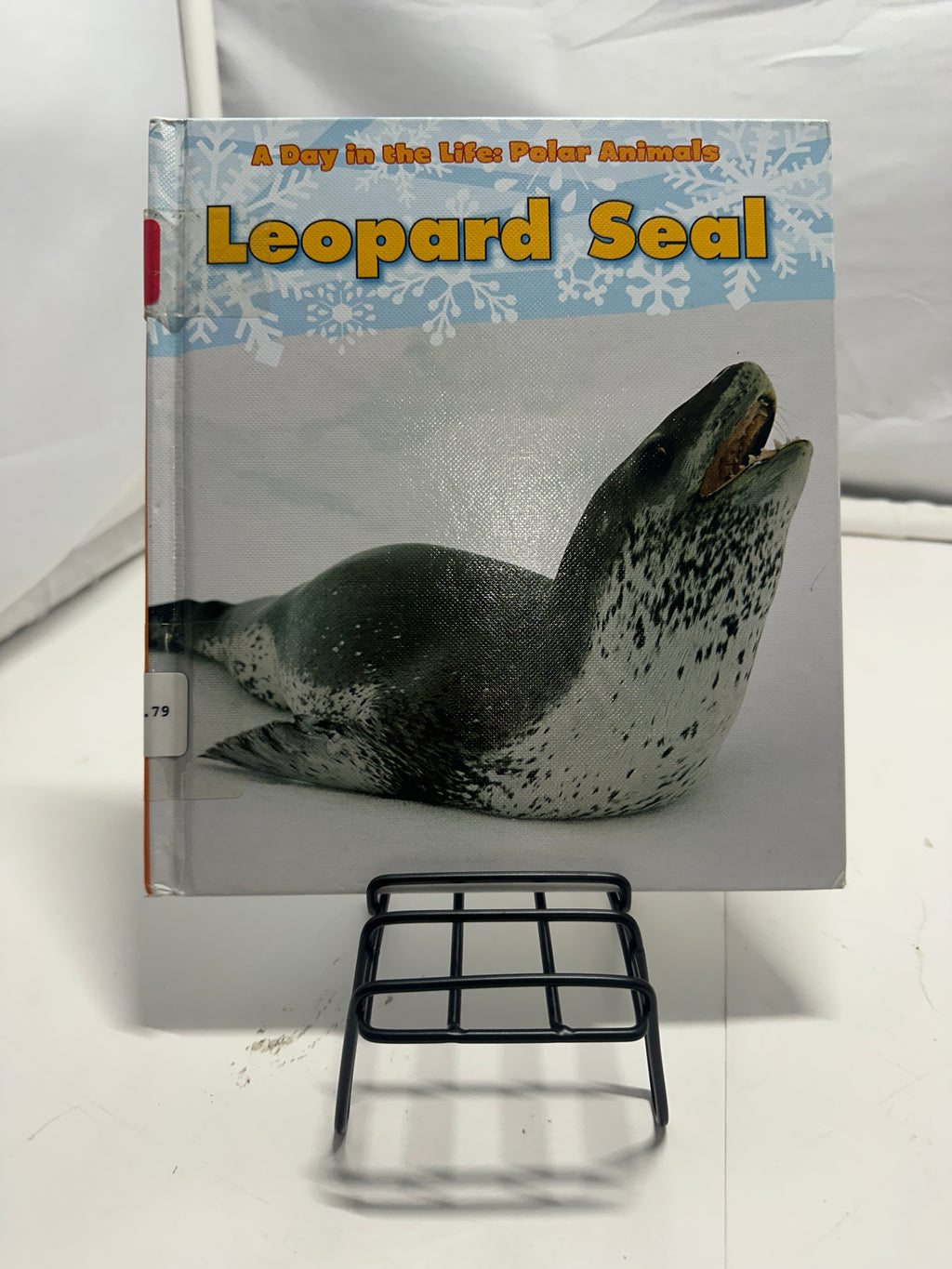 Leopard seal by Katie Marsico Hardcover