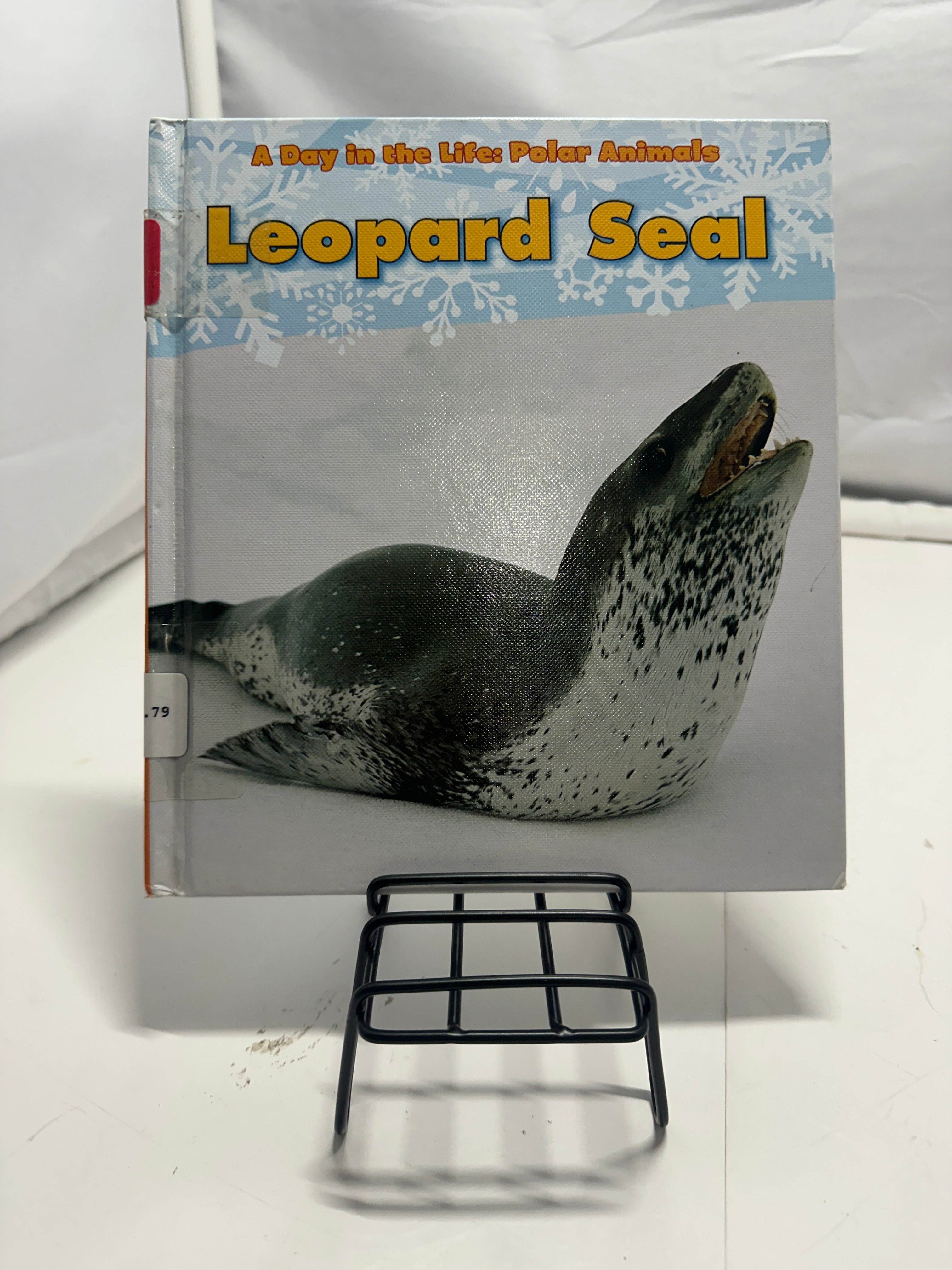Leopard seal by Katie Marsico Hardcover