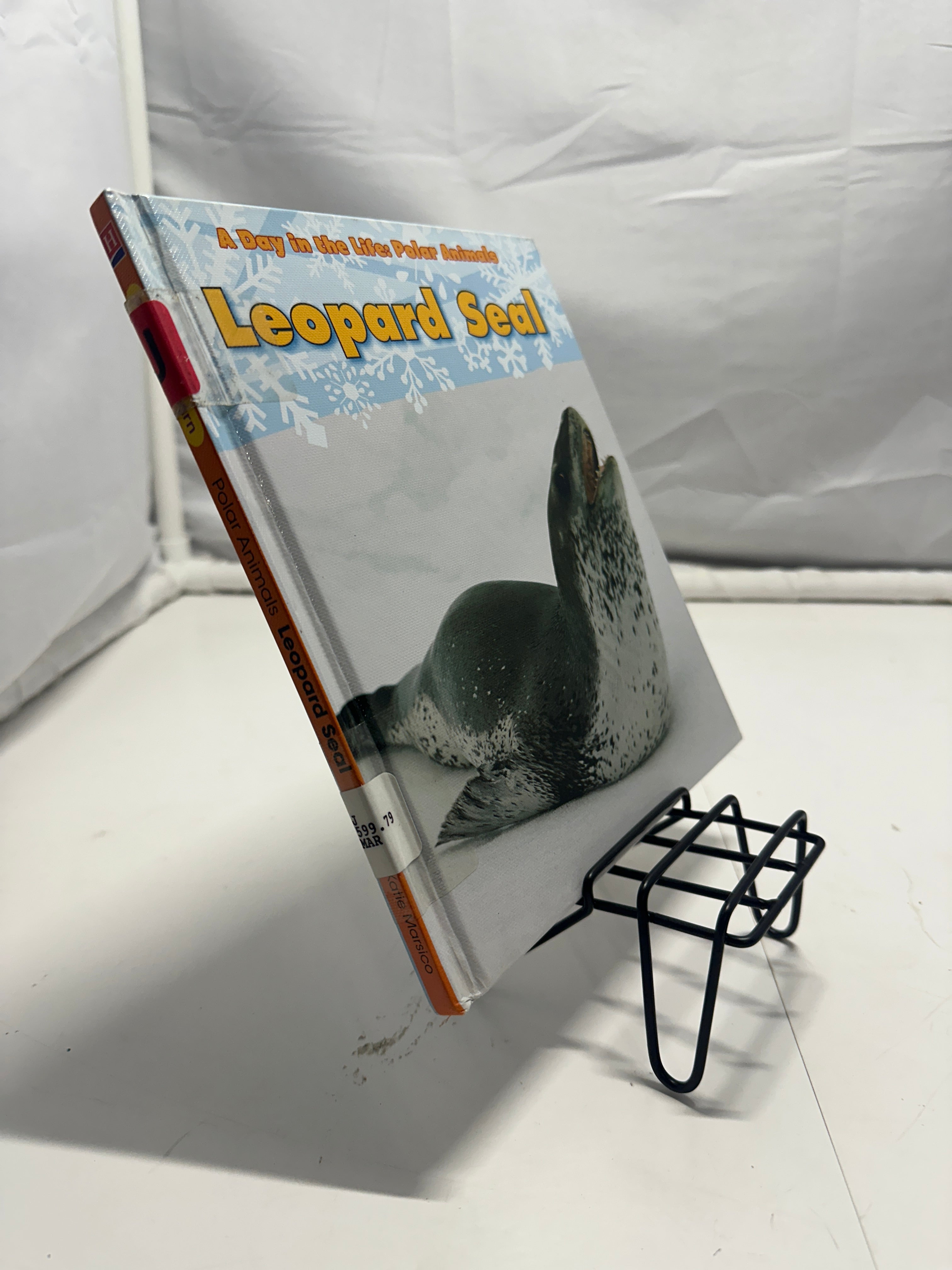 Leopard seal by Katie Marsico Hardcover