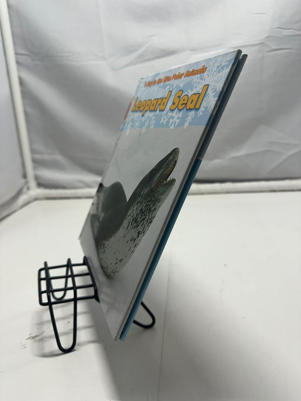 Leopard seal by Katie Marsico Hardcover