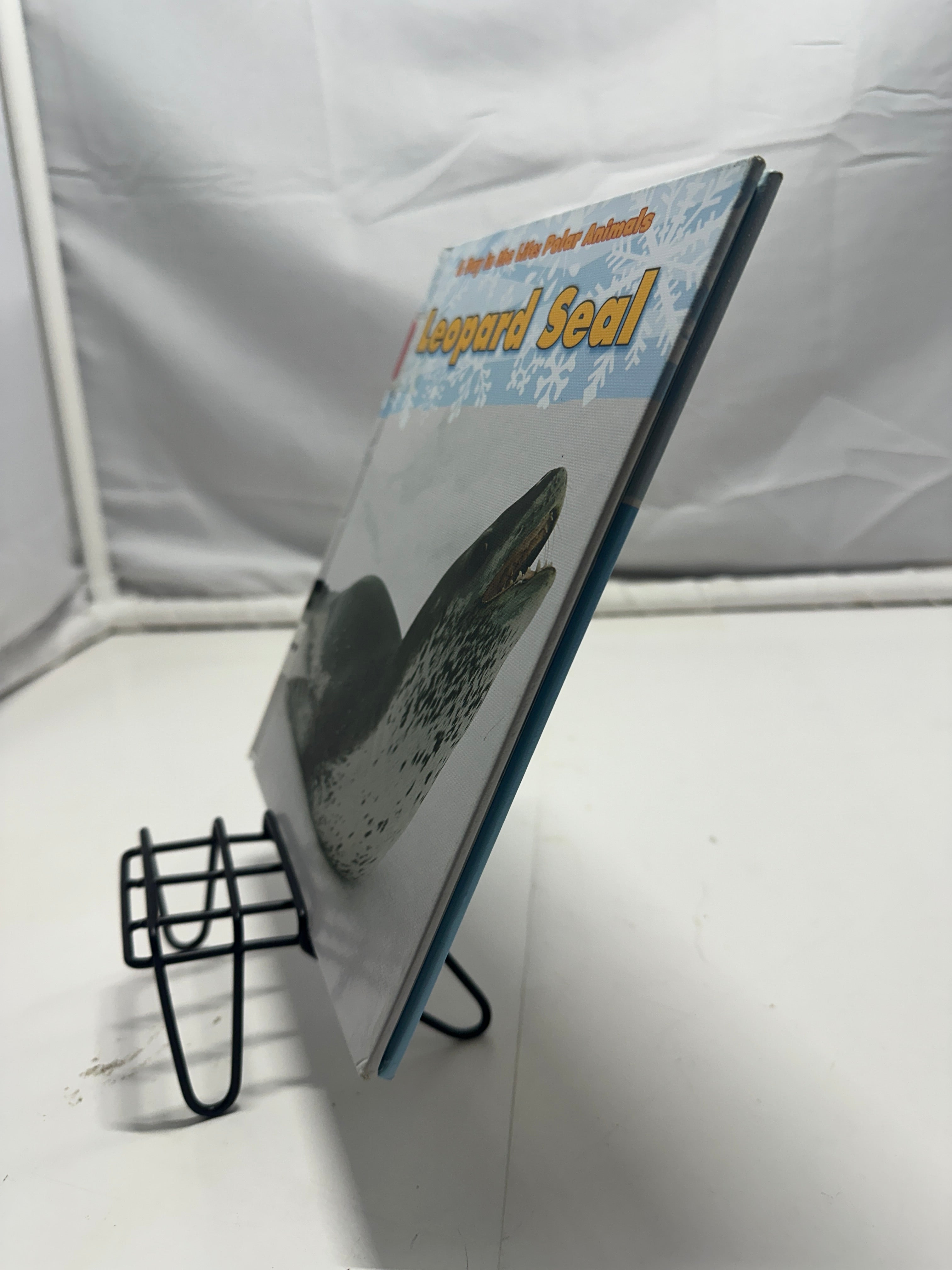 Leopard seal by Katie Marsico Hardcover