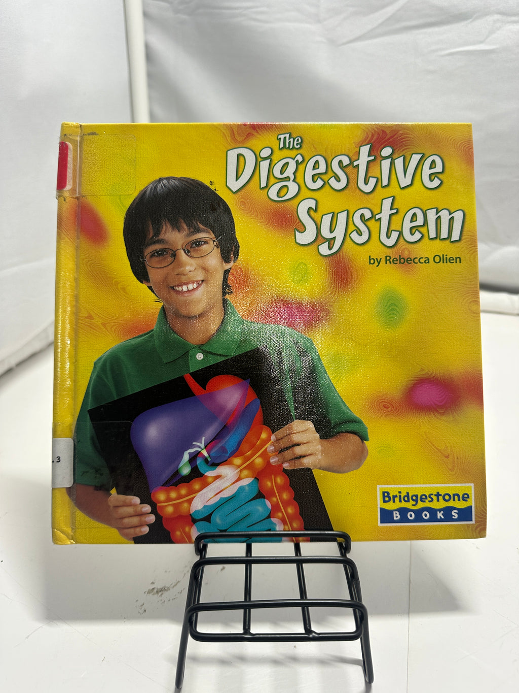 The Digestive System by Rebecca Olien Hardcover Children