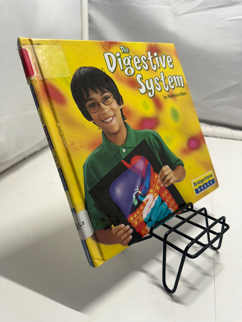 The Digestive System by Rebecca Olien Hardcover Children