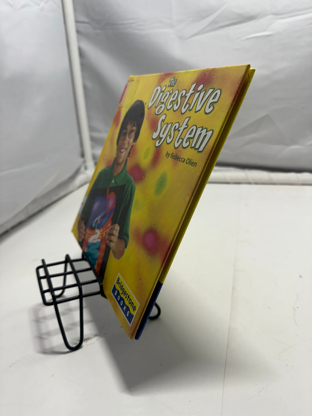 The Digestive System by Rebecca Olien Hardcover Children