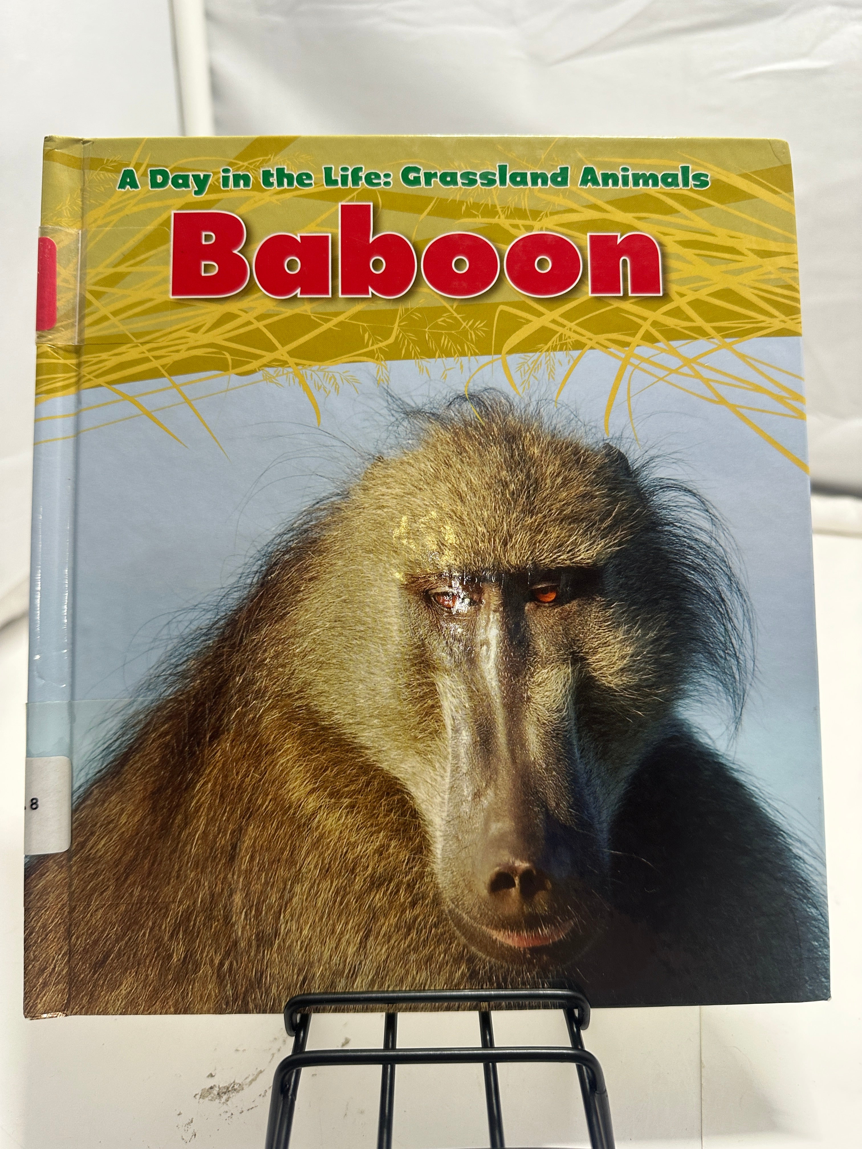 Baboon by Louise Spilsbury Hardcover