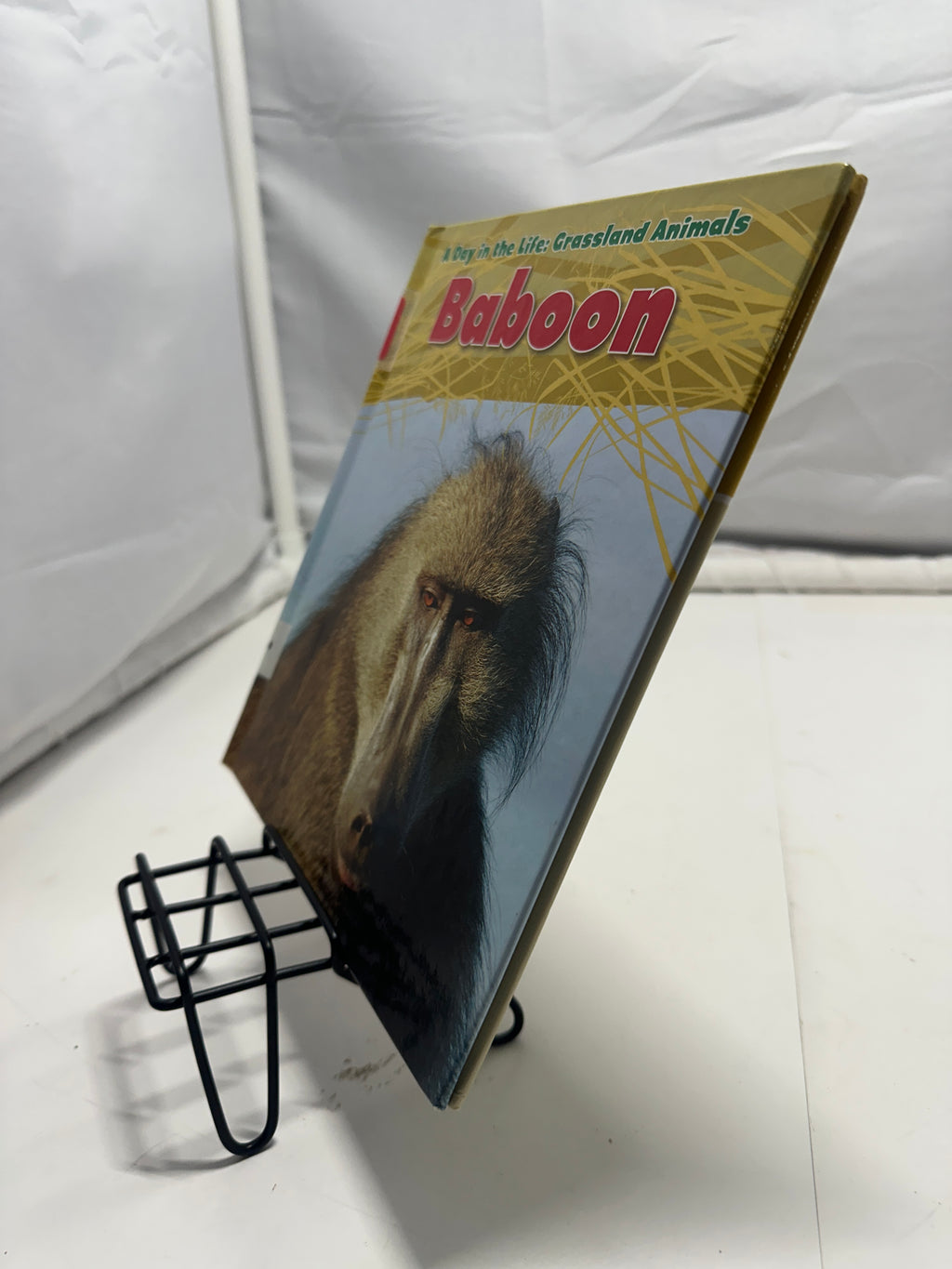 Baboon by Louise Spilsbury Hardcover