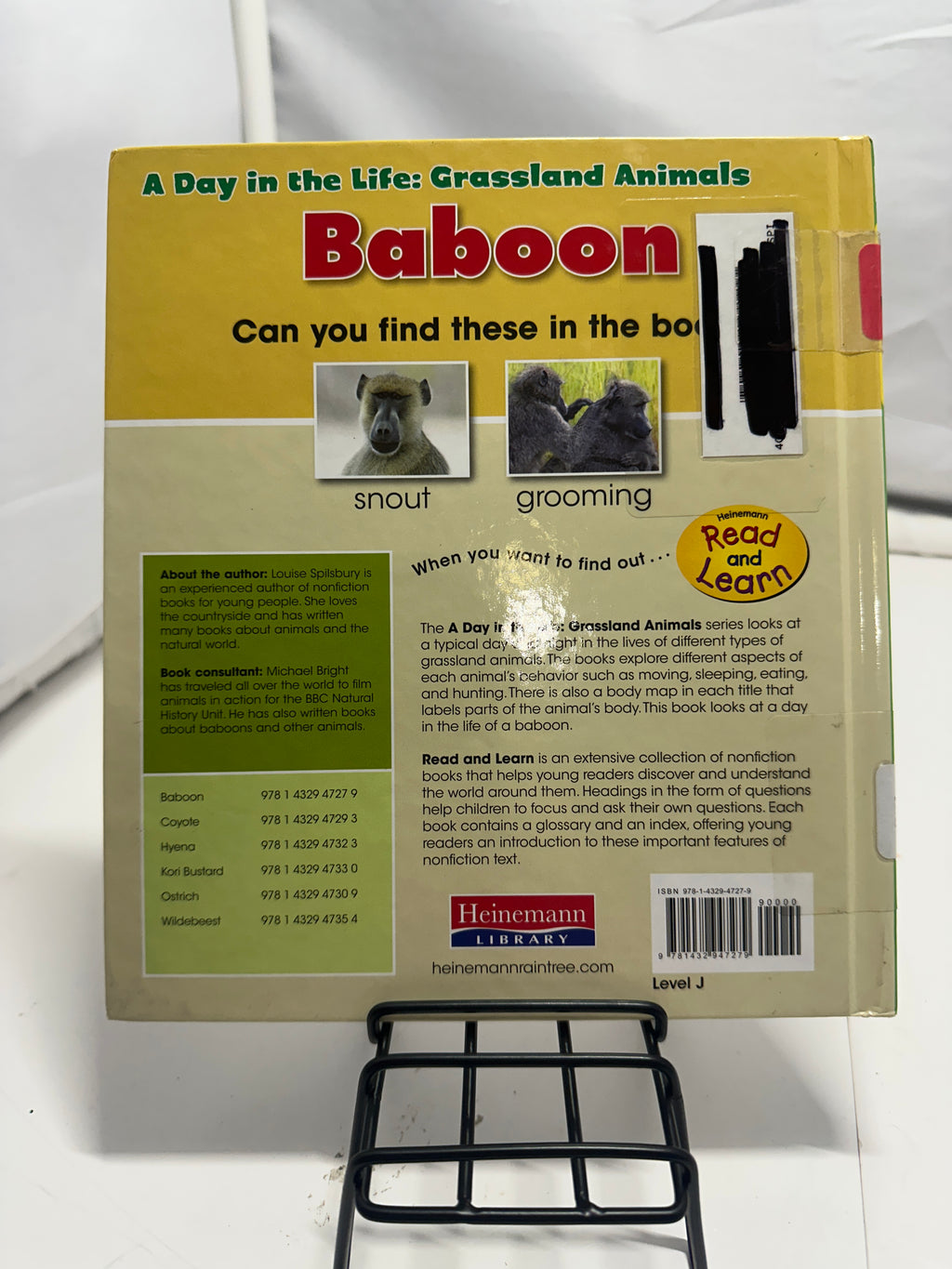 Baboon by Louise Spilsbury Hardcover
