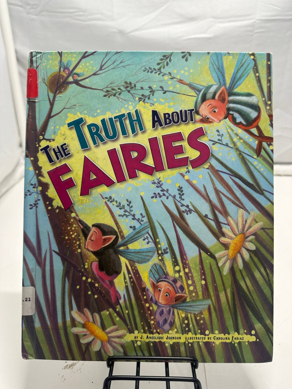 The truth about fairies by J. Angelique Johnson Hardcover