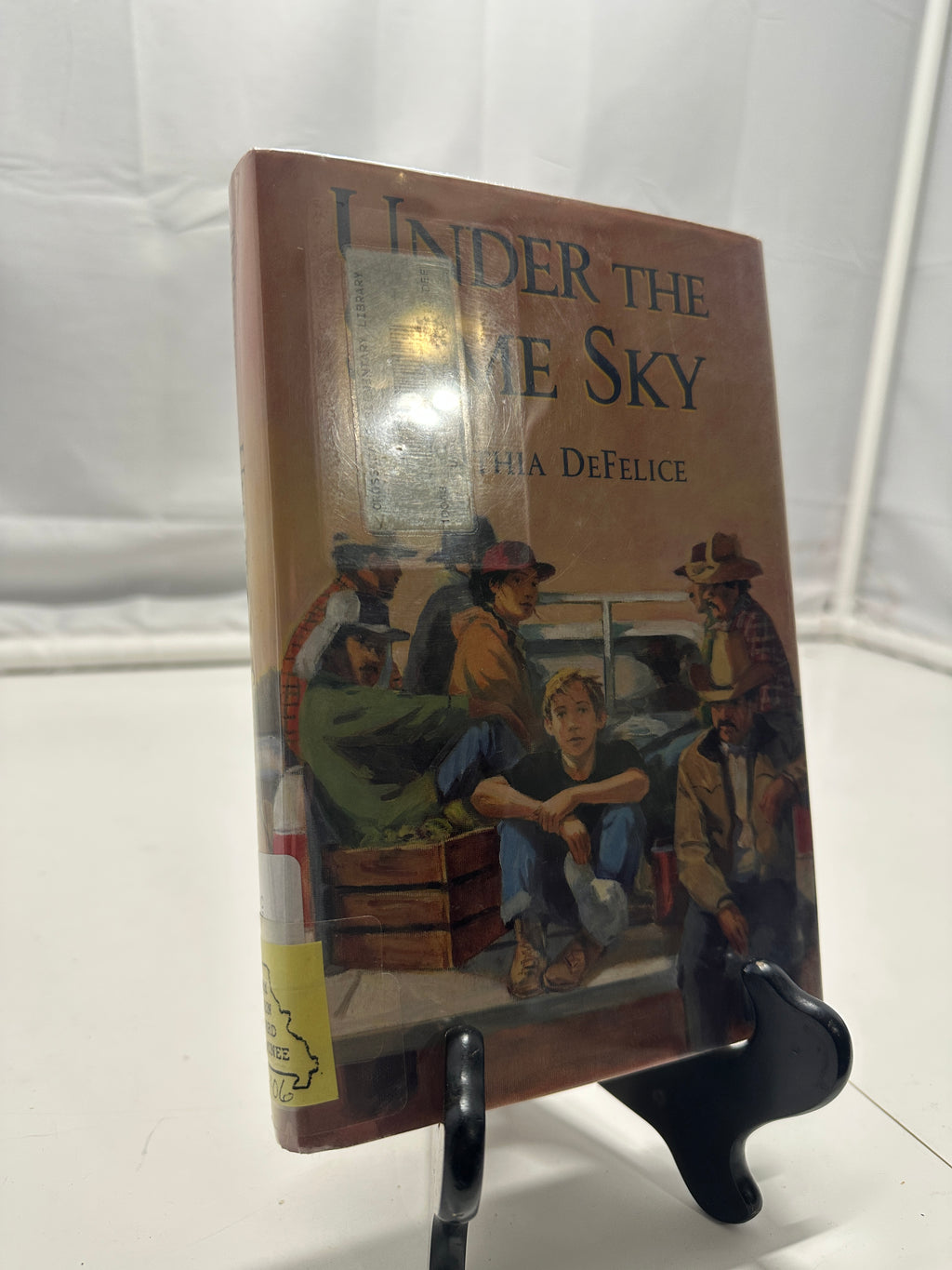 Under the Same Sky by Cynthia C. Defelice Hardcover Children