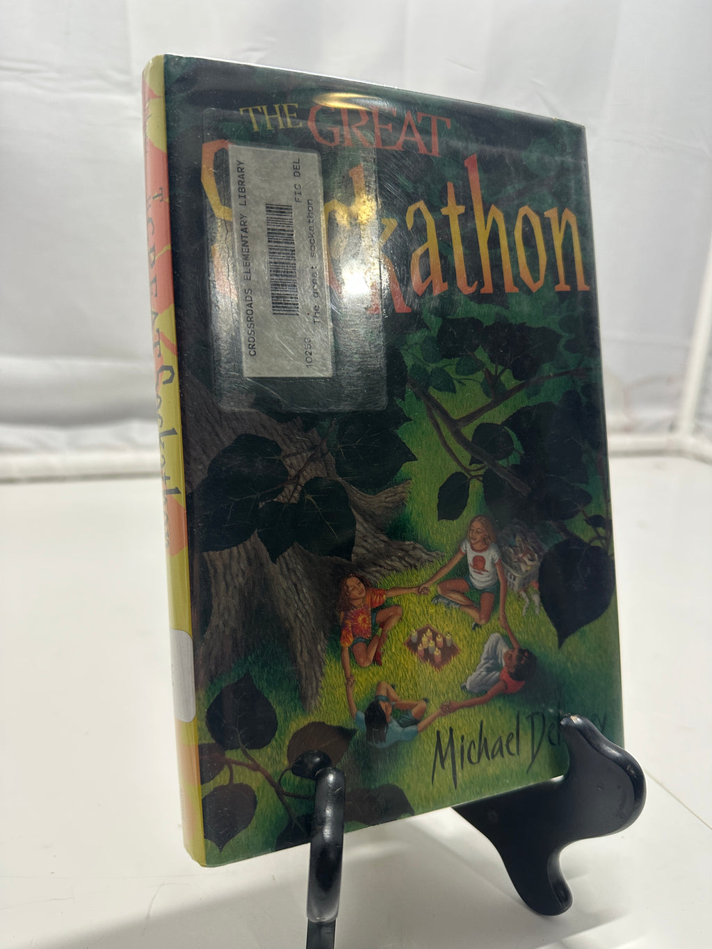 The Great Sockathon by Michael Delaney Hardcover Children