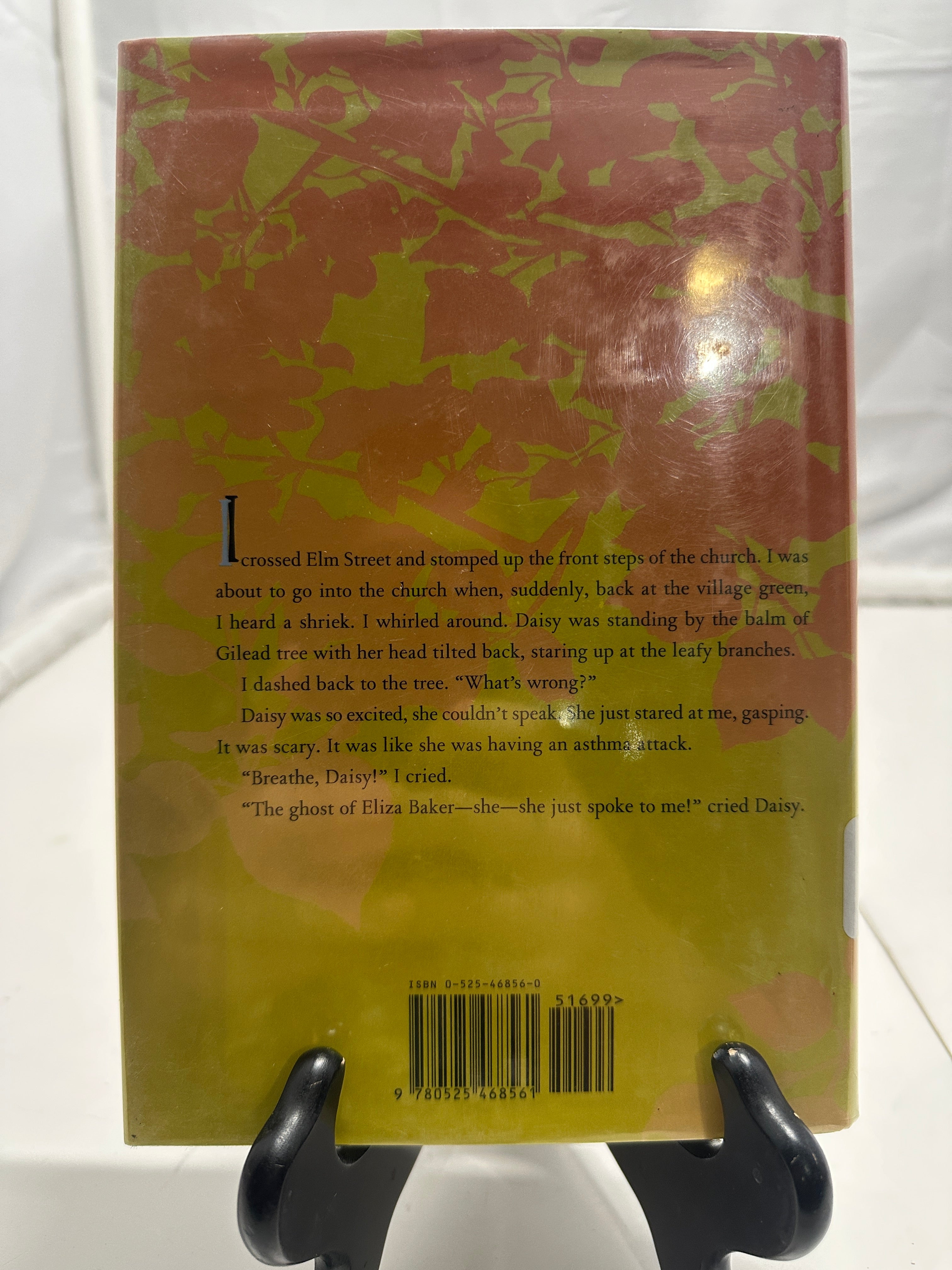 The Great Sockathon by Michael Delaney Hardcover Children