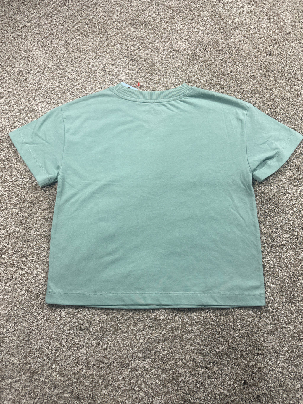 Cat & Jack girls Dusty Mint butterfly relaxed short-sleeve T-shirt, size S (6/7)