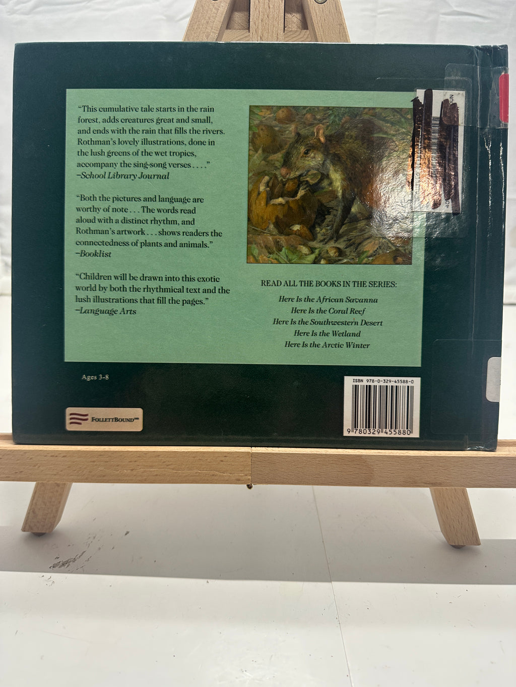 Here Is the Tropical Rain Forest by Madeleine Dunphy Hardcover Children