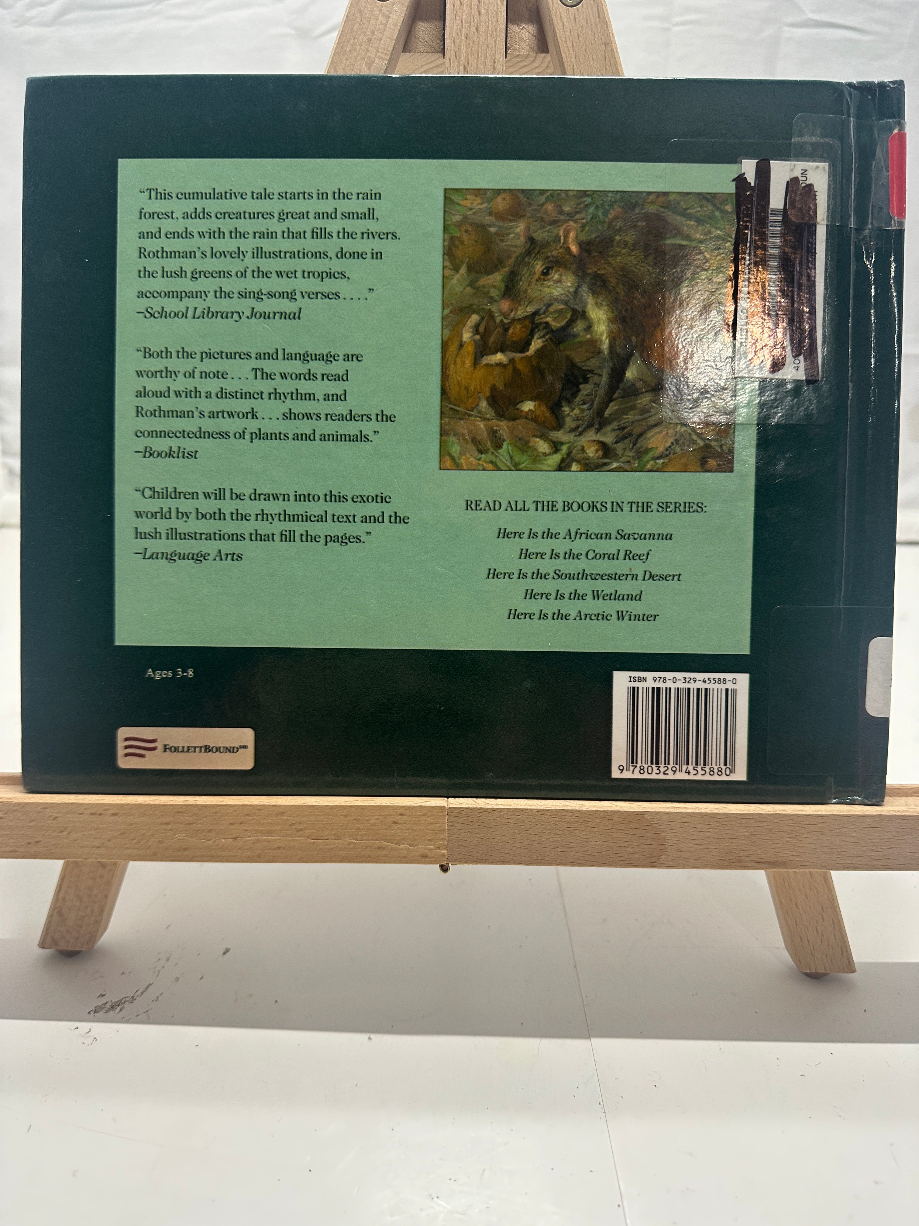 Here Is the Tropical Rain Forest by Madeleine Dunphy Hardcover Children