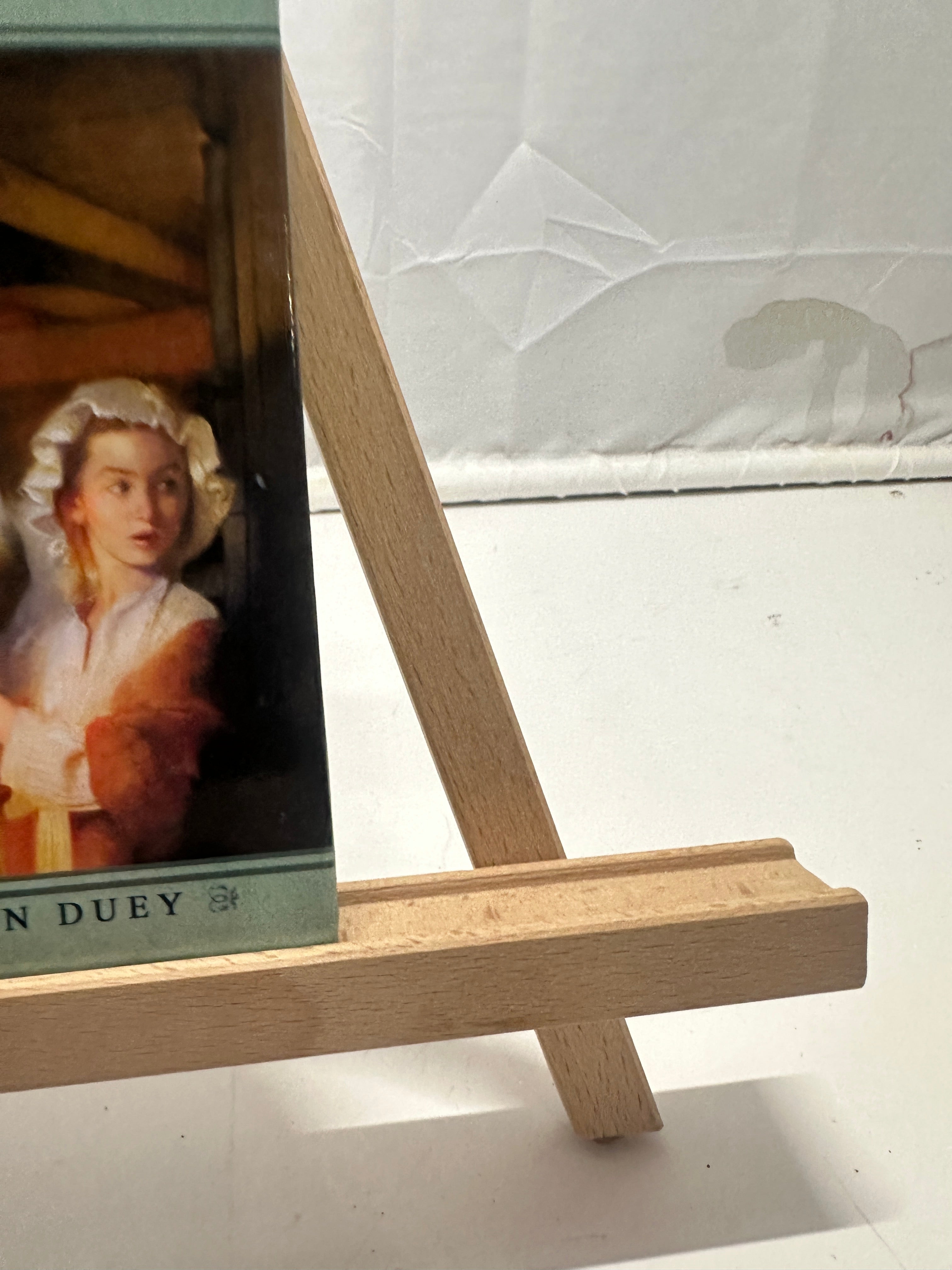 Silence and Lily by Kathleen Duey Hardcover Children