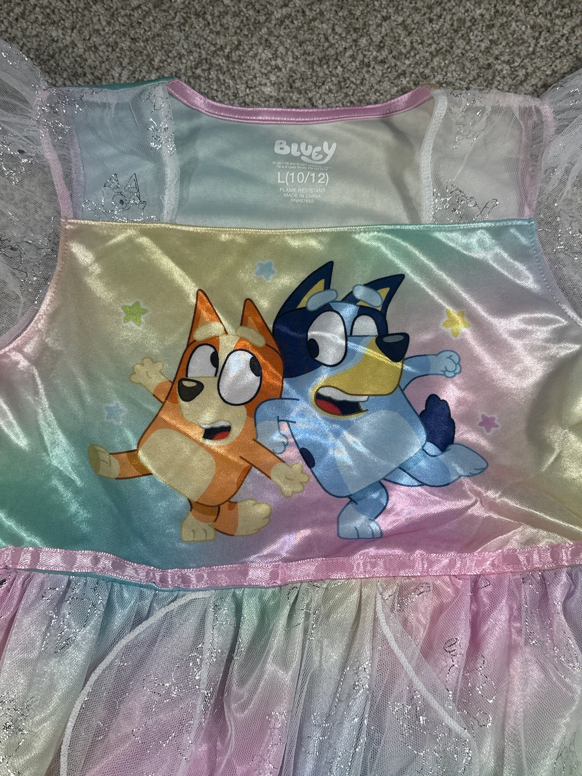 Bluey Pastel Rainbow Costume Dress Size L (10-12) - photo 3