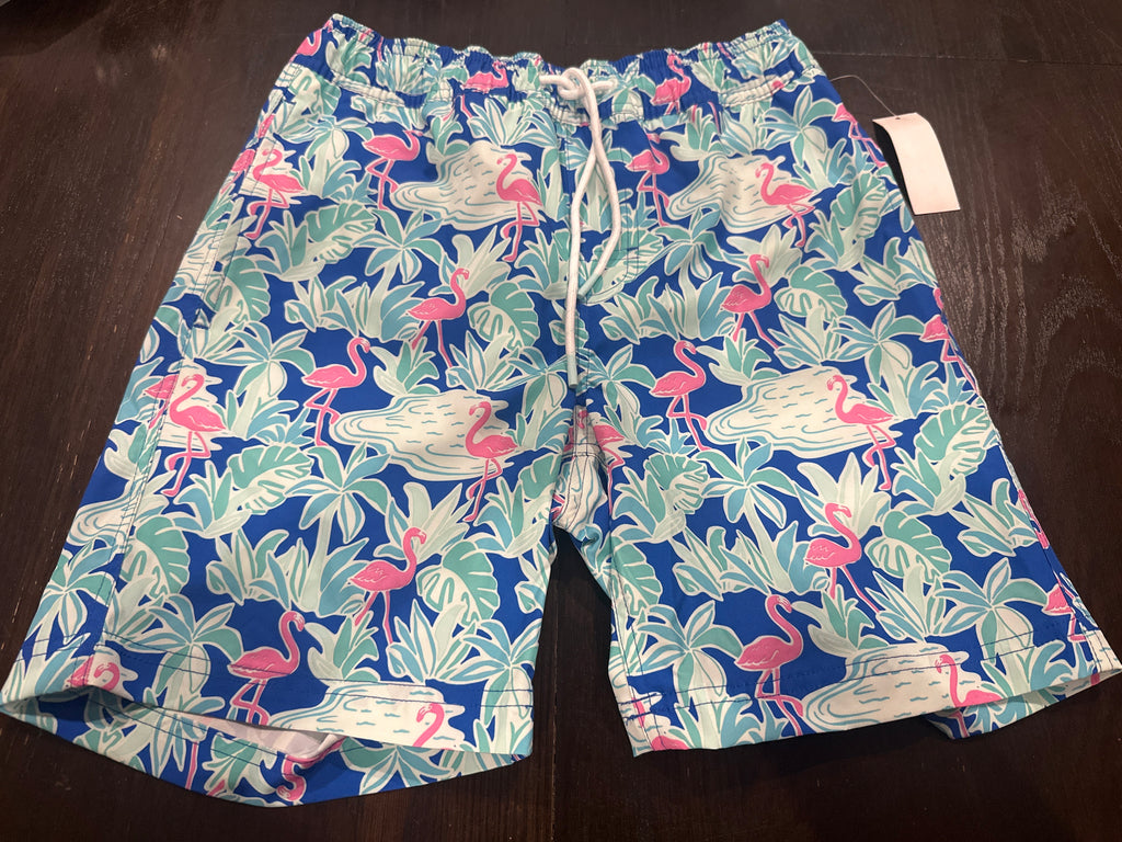 Member’s Mark Flamingo Print Swim Trunks – Tropical Beach Shorts