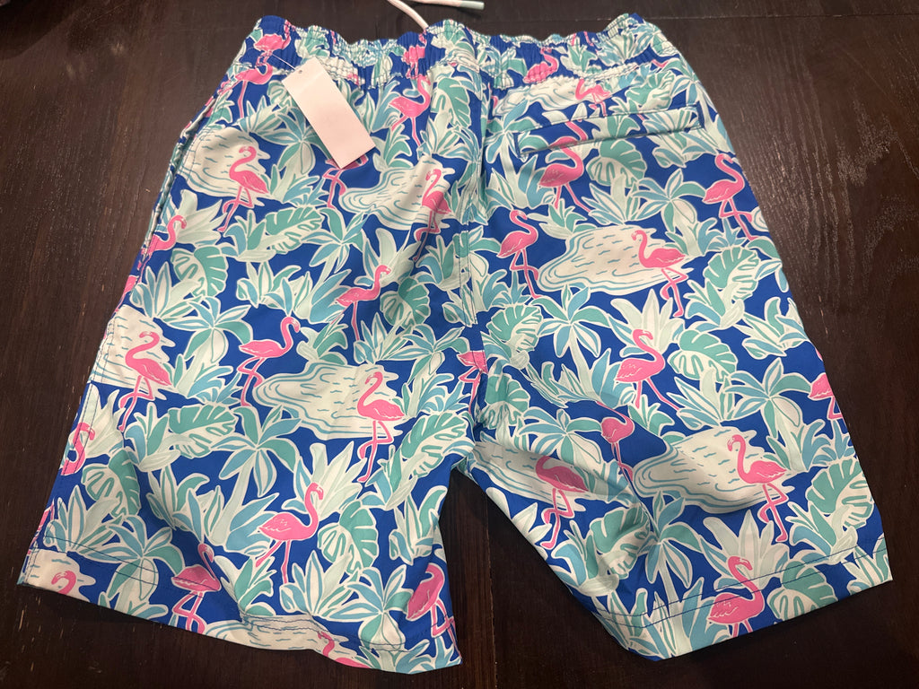 Member’s Mark Flamingo Print Swim Trunks – Tropical Beach Shorts