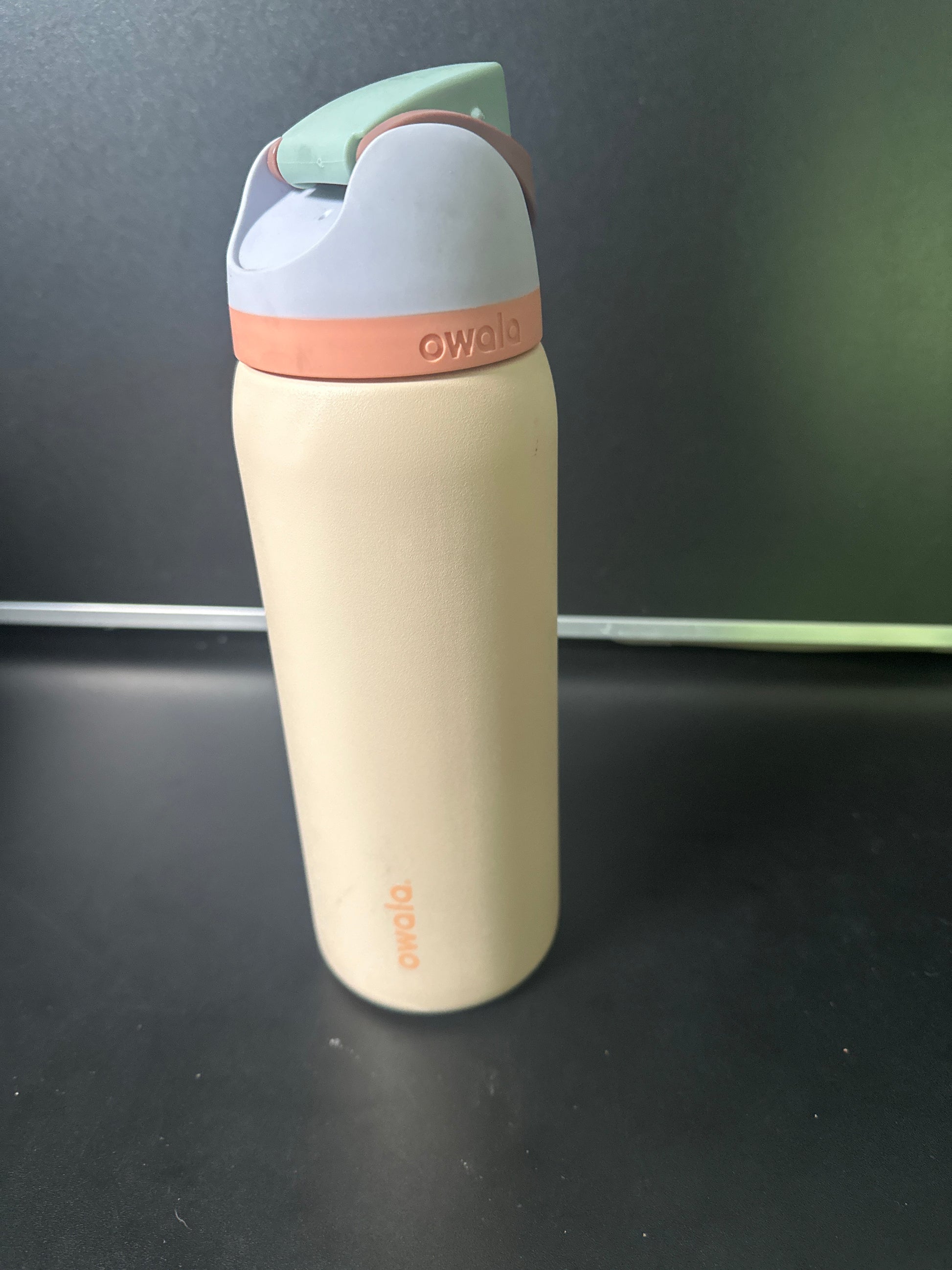 Owala 32oz FreeSip Stainless Steel Water Bottle 6-00009