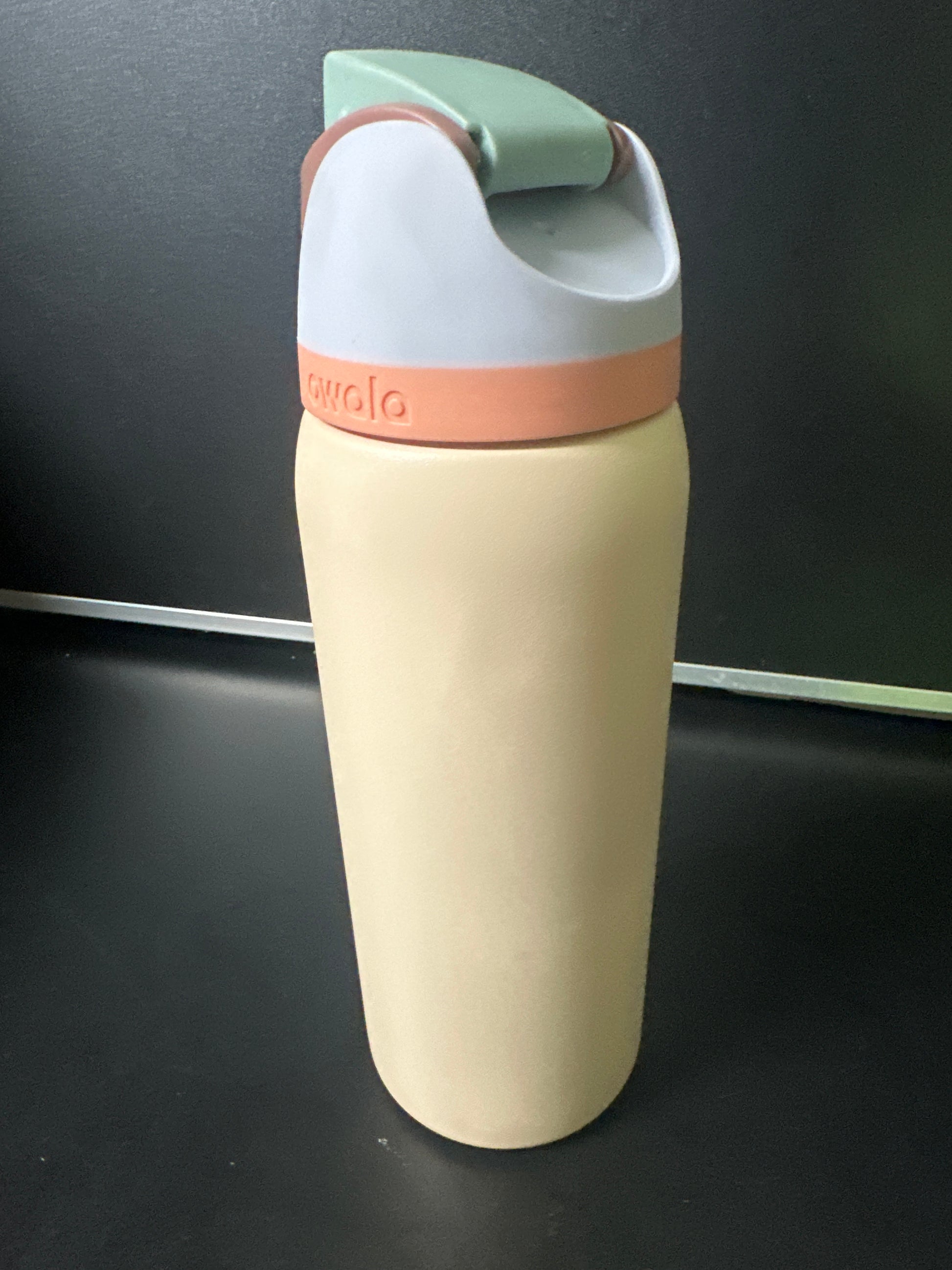 Owala 32oz FreeSip Stainless Steel Water Bottle 6-00009