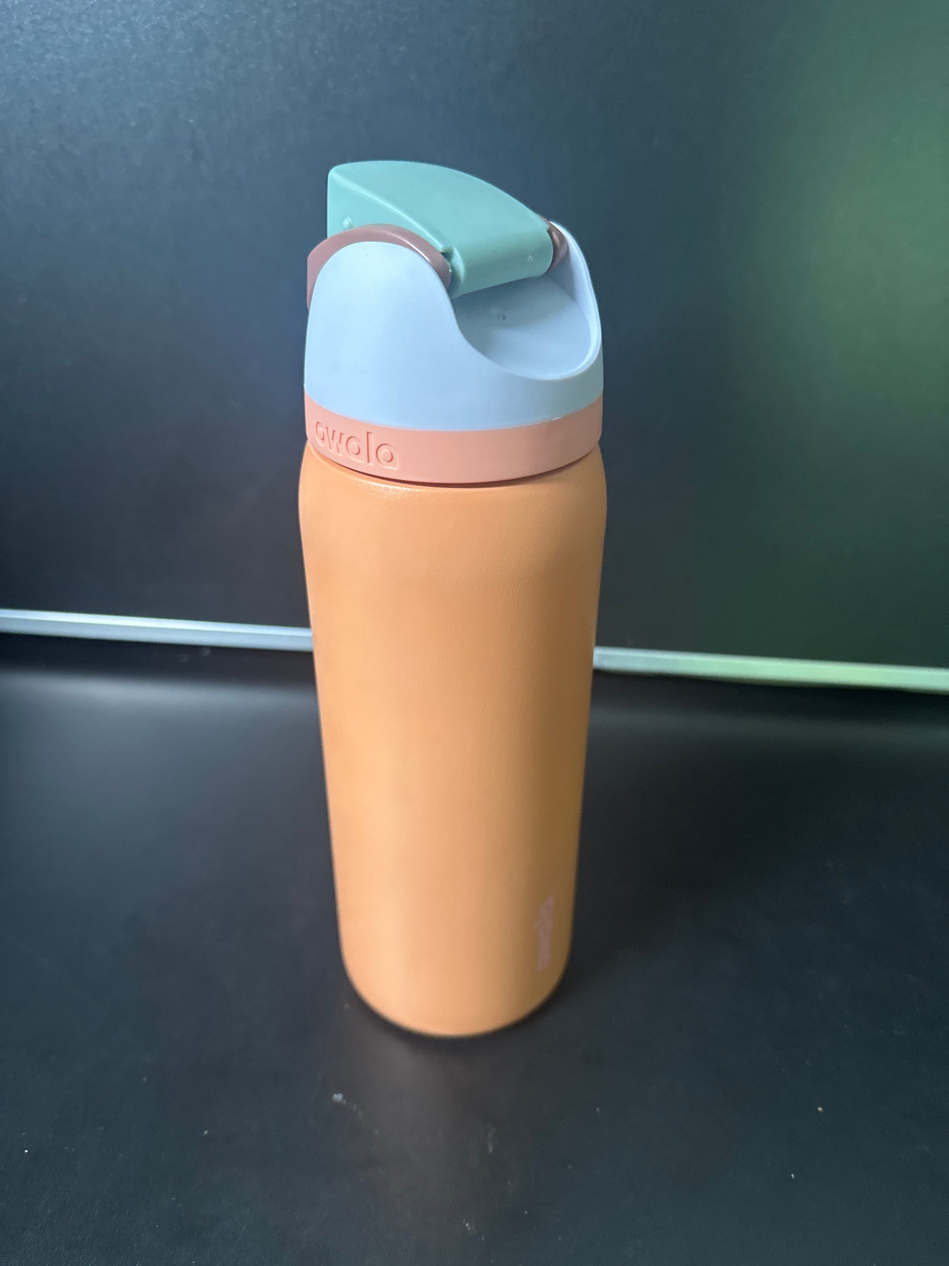 Owala 32oz FreeSip Stainless Steel Water Bottle 6-00010