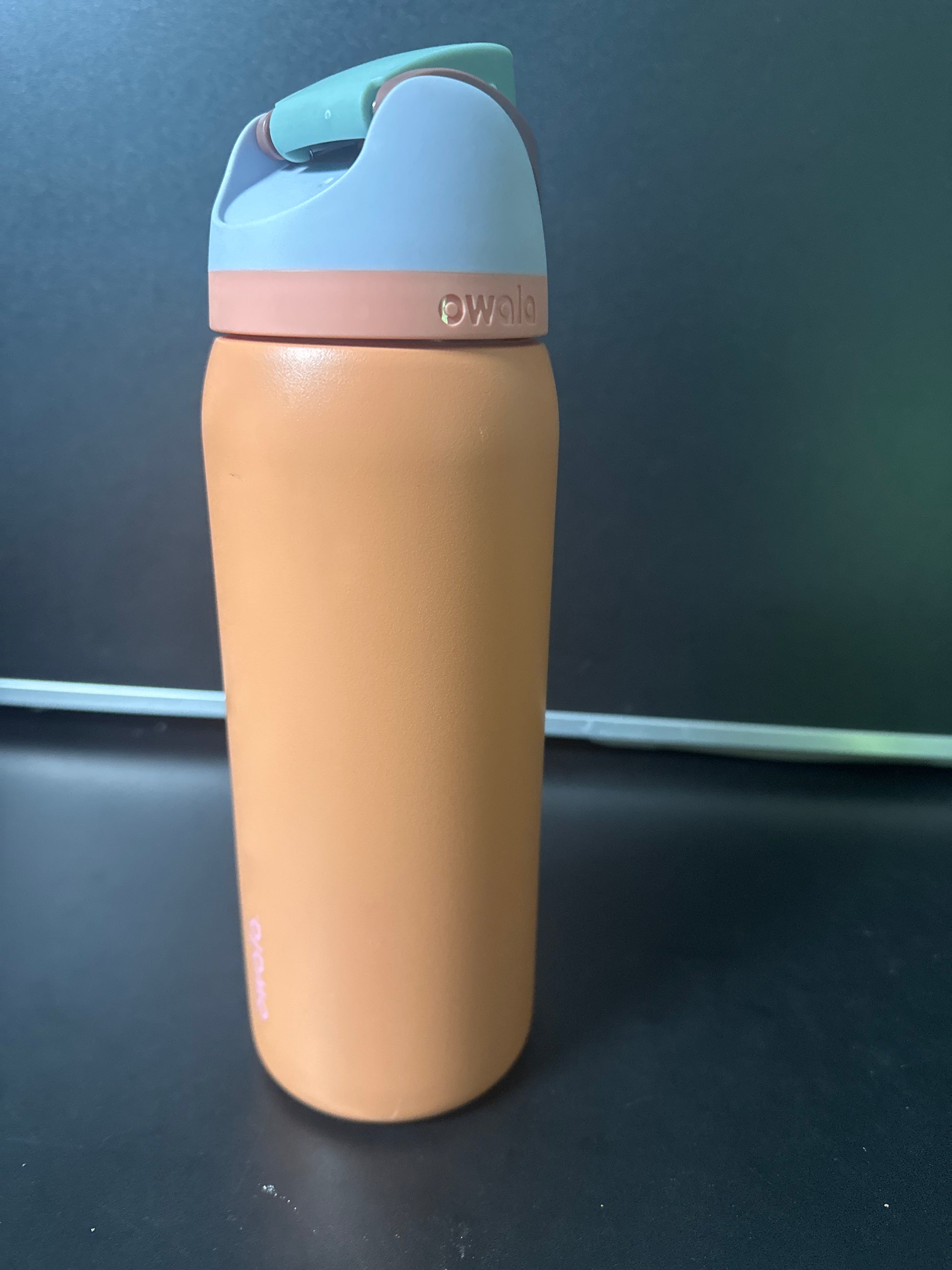 Owala 32oz FreeSip Stainless Steel Water Bottle 6-00010