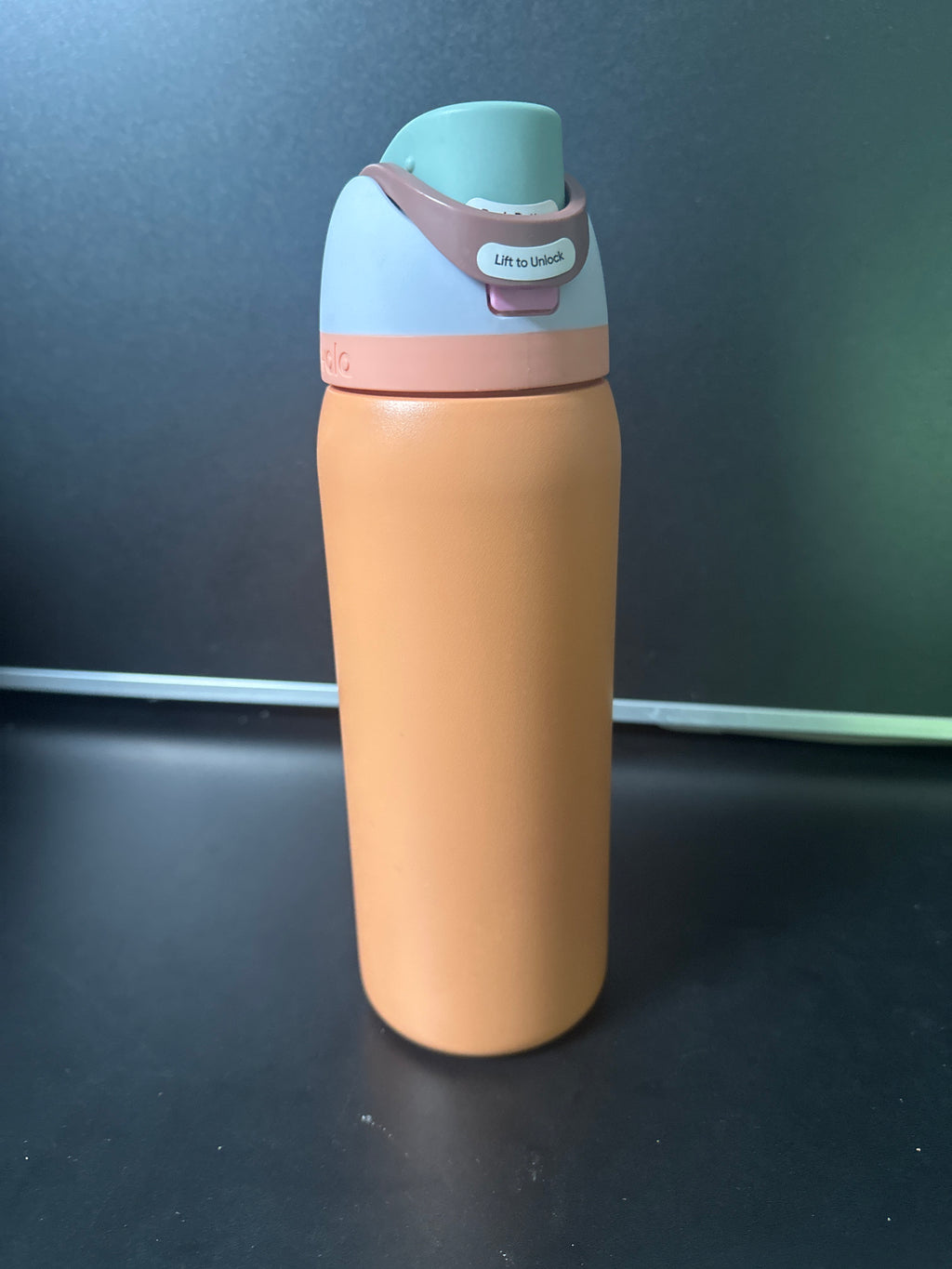 Owala 32oz FreeSip Stainless Steel Water Bottle 6-00010