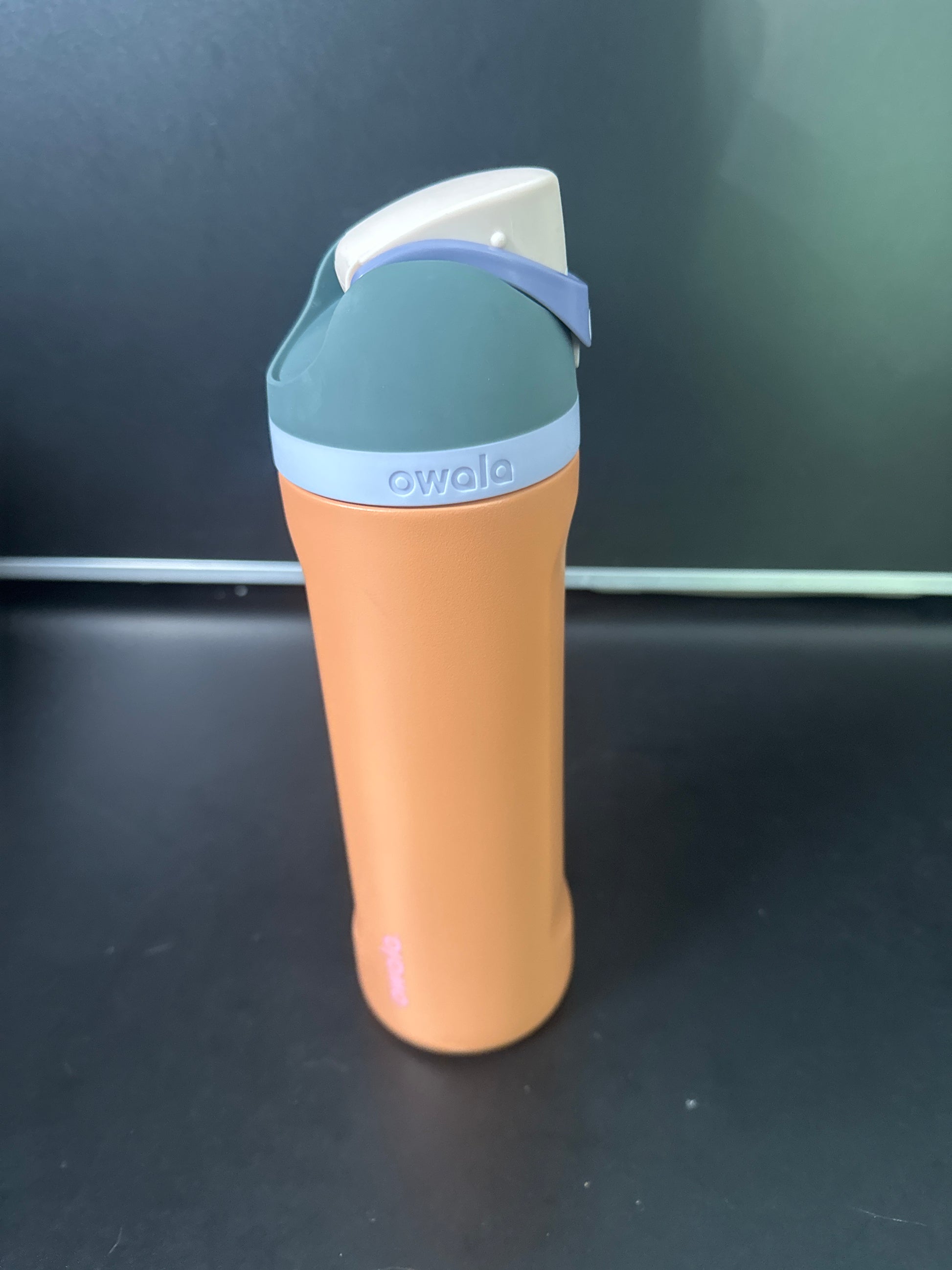 Owala 24oz FreeSip Stainless Steel Water Bottle 6-00019