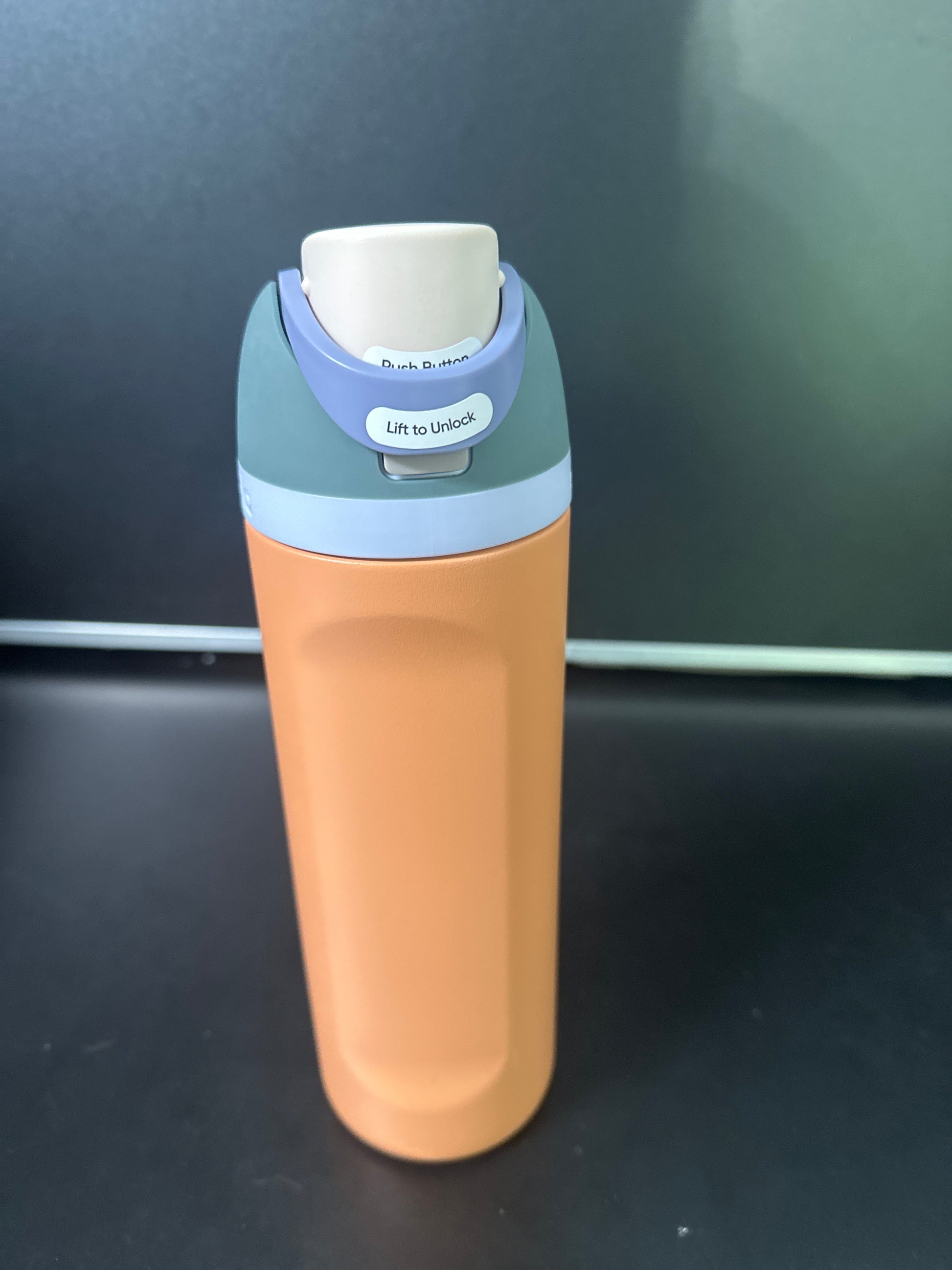 Owala 24oz FreeSip Stainless Steel Water Bottle 6-00019