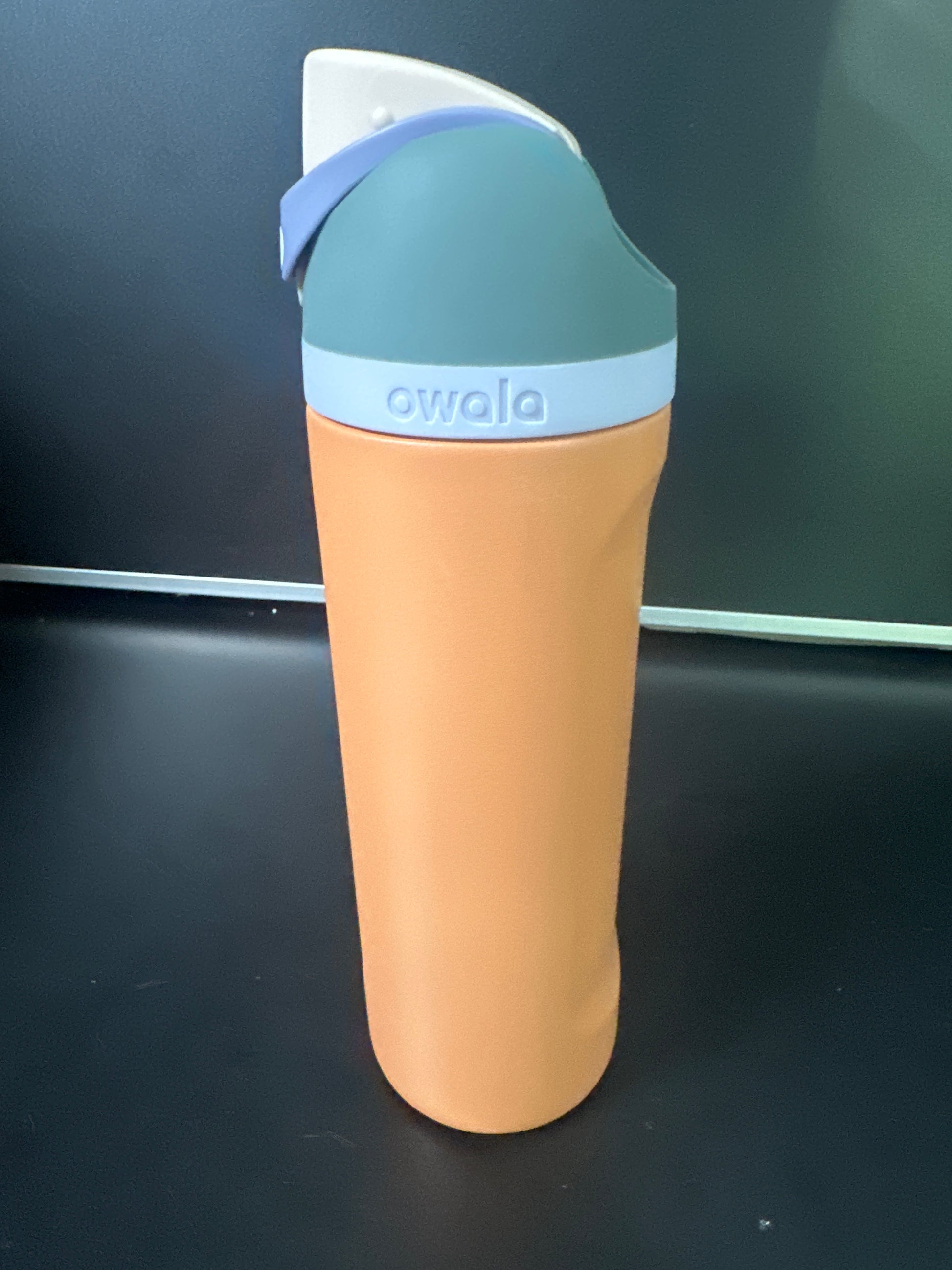 Owala 24oz FreeSip Stainless Steel Water Bottle 6-00019