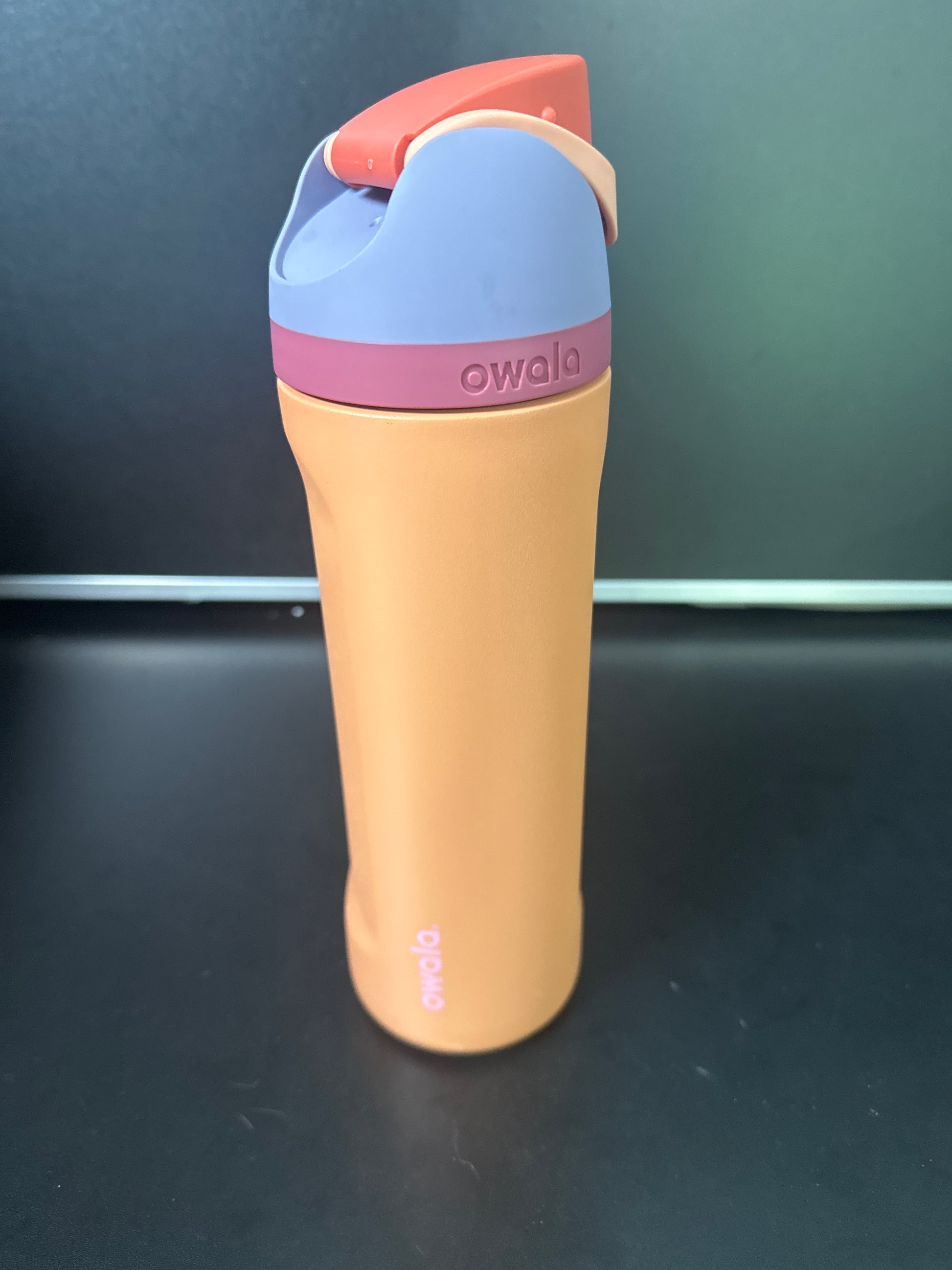 Owala 24oz FreeSip Stainless Steel Water Bottle 6-00026